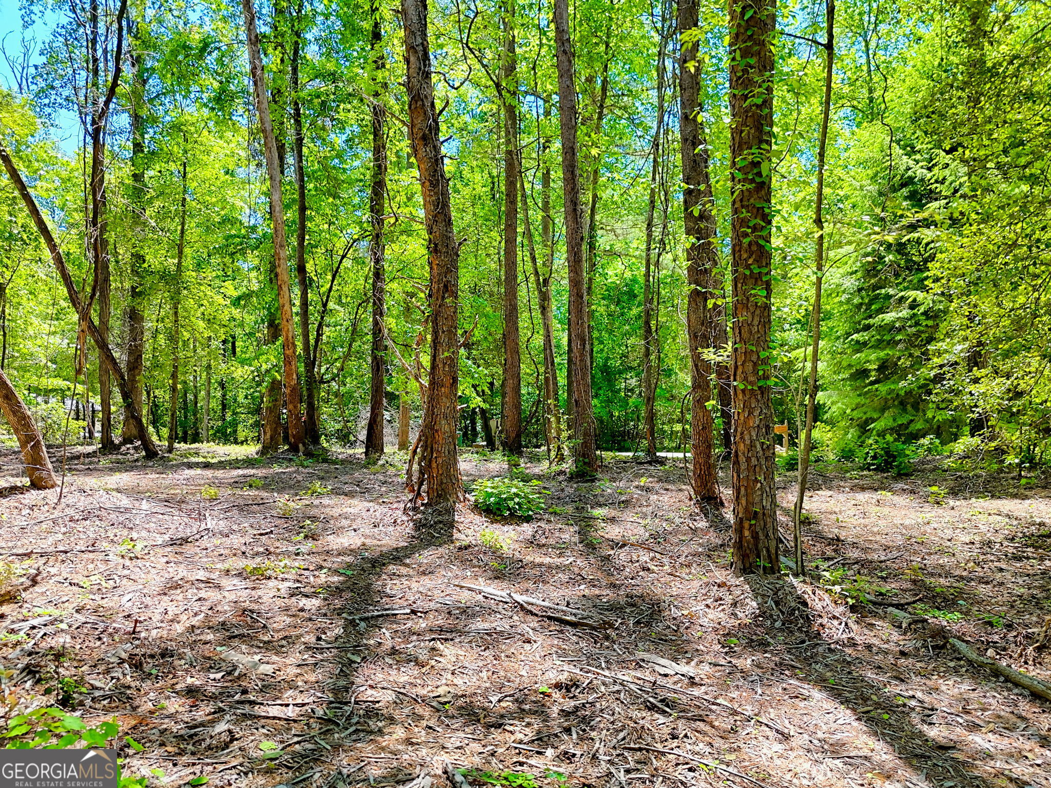 135 (LOT 5) Whispering Dale Road Clarkesville GA 30523