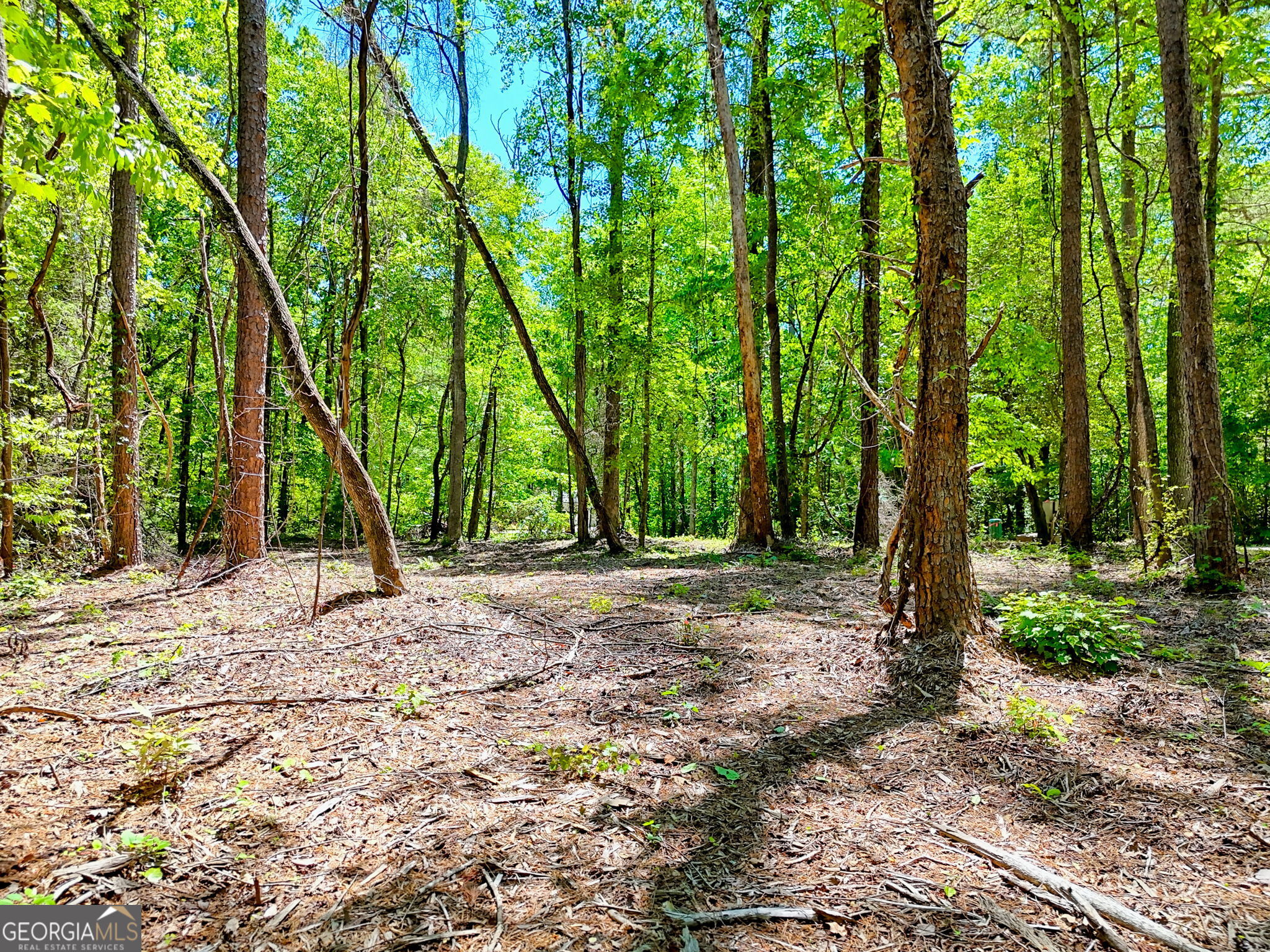 135 (LOT 5) Whispering Dale Road Clarkesville GA 30523
