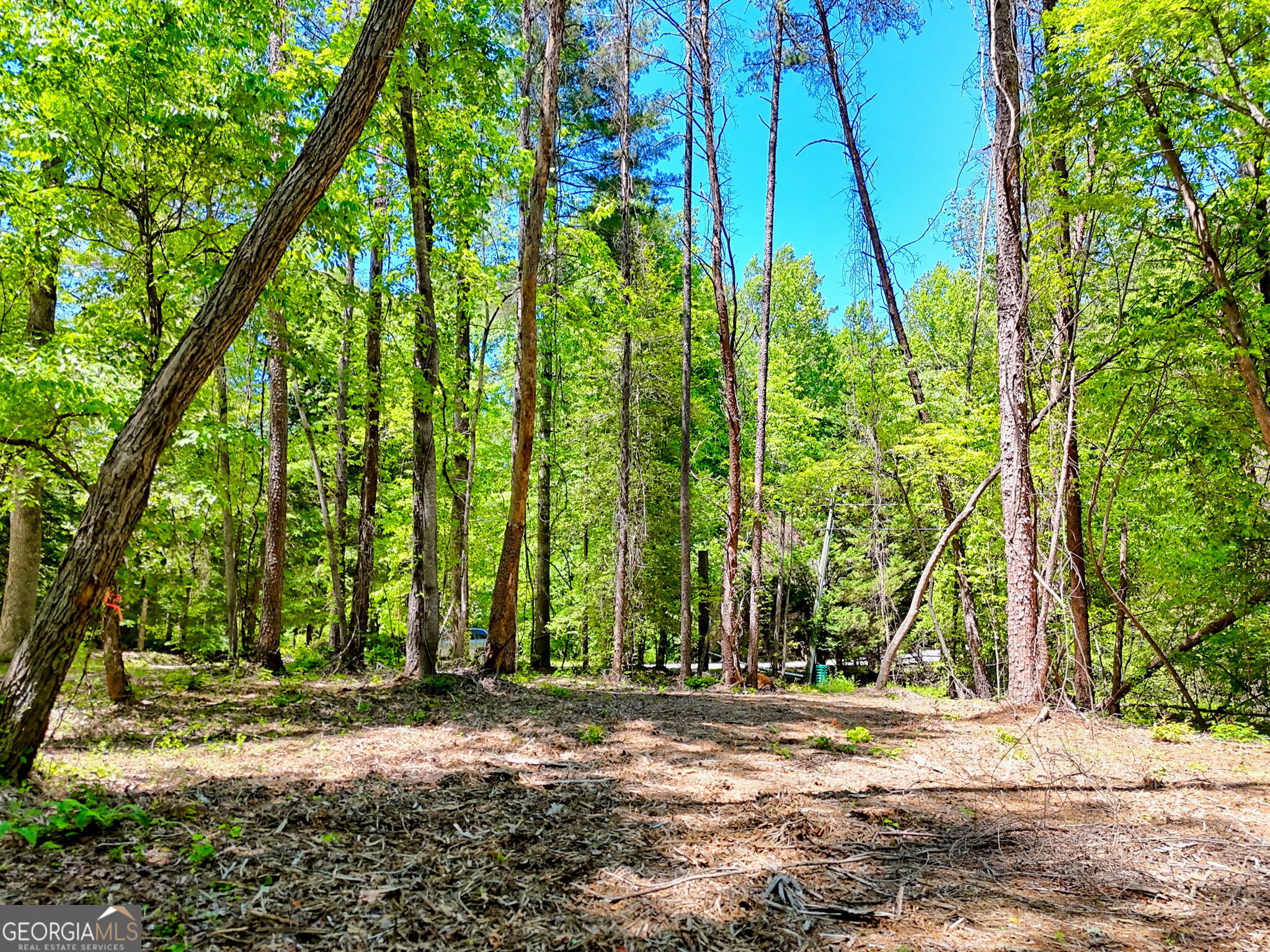135 (LOT 5) Whispering Dale Road Clarkesville GA 30523