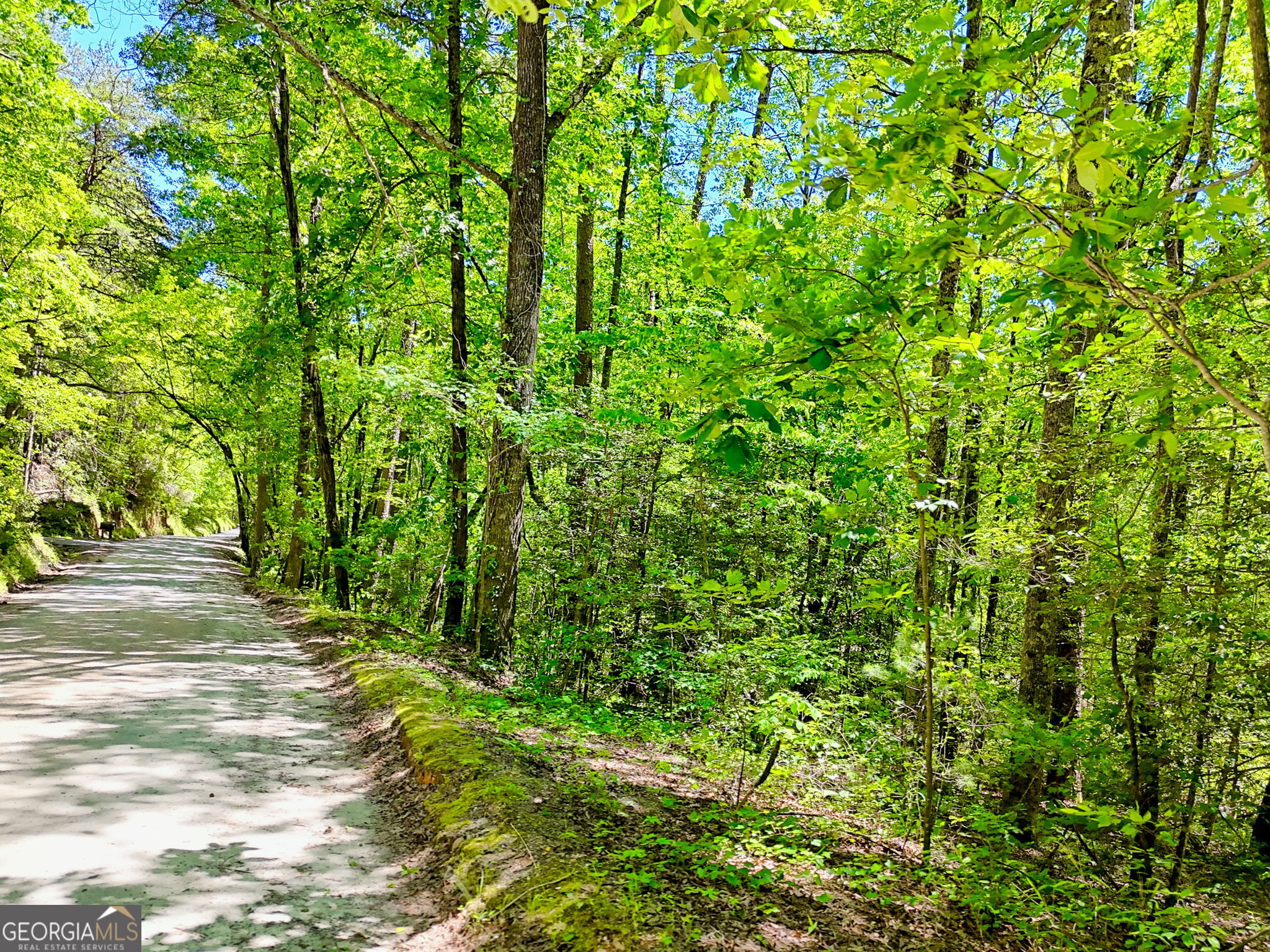 135 (LOT 5) Whispering Dale Road Clarkesville GA 30523
