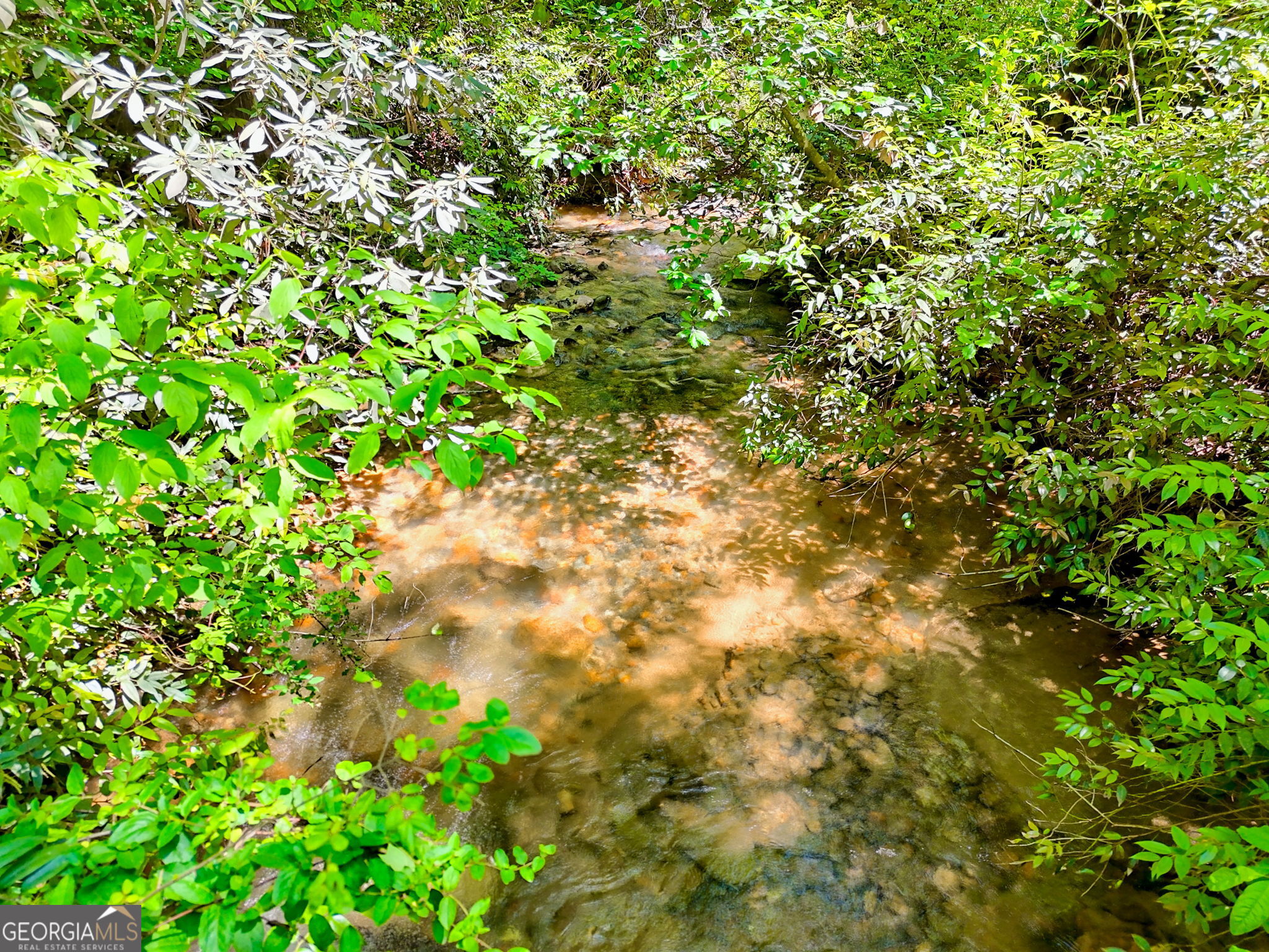 135 (LOT 5) Whispering Dale Road Clarkesville GA 30523