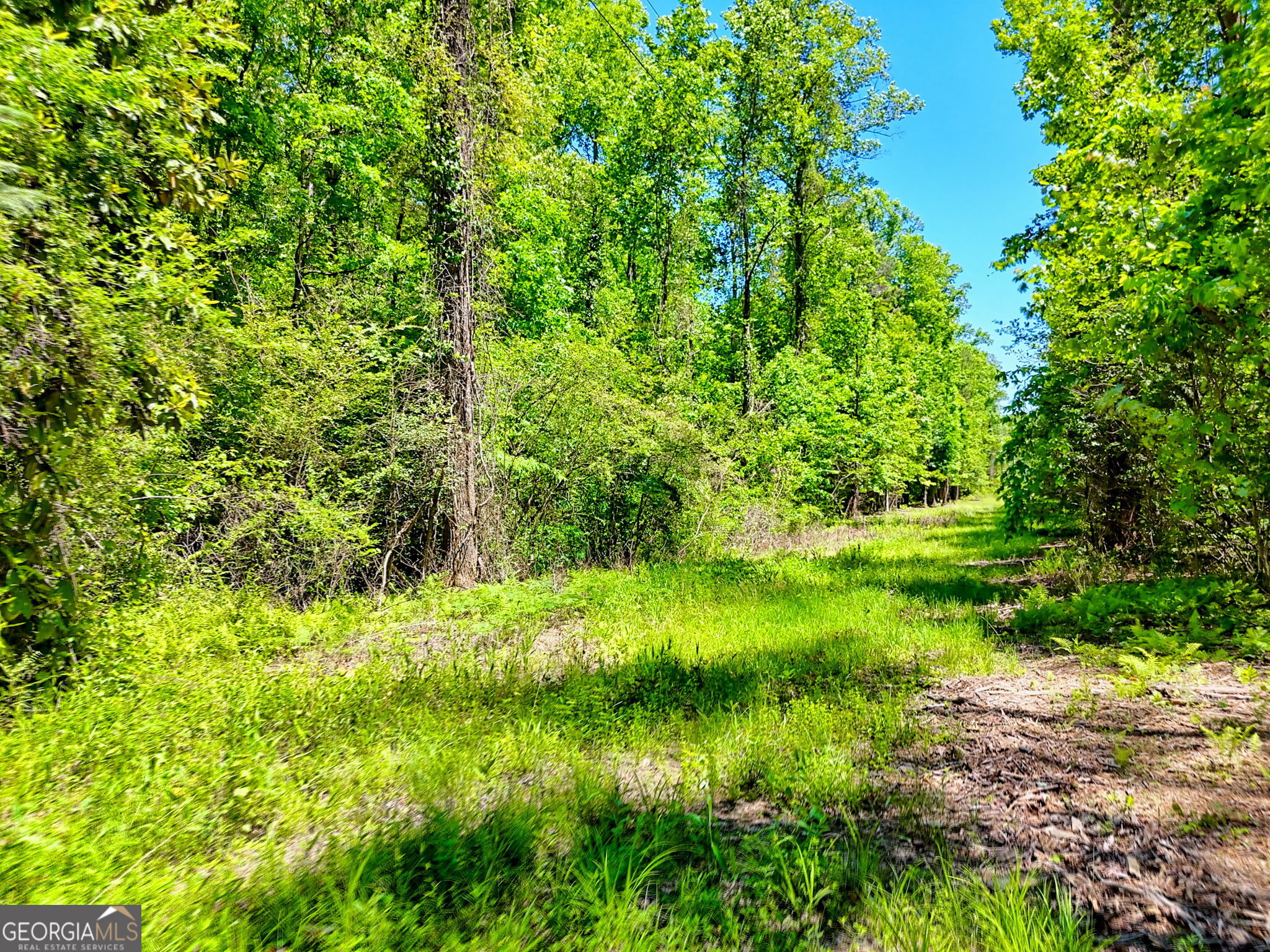 135 (LOT 5) Whispering Dale Road Clarkesville GA 30523