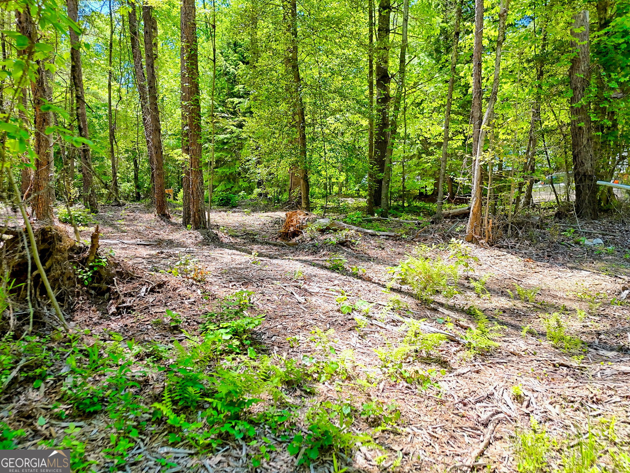 135 (LOT 5) Whispering Dale Road Clarkesville GA 30523