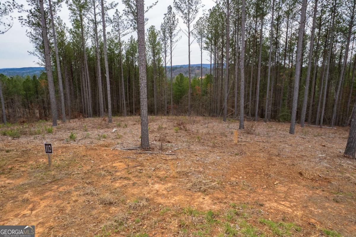 Lot 112 Blalock Mountain Road Talking Rock GA 30175