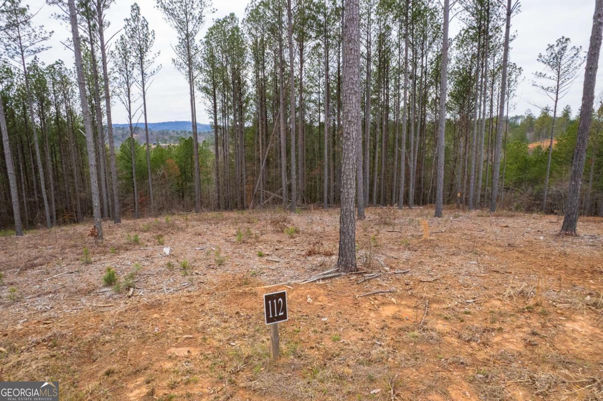Lot 112 Blalock Mountain Road Talking Rock GA 30175