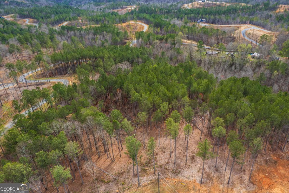 Lot 112 Blalock Mountain Road Talking Rock GA 30175