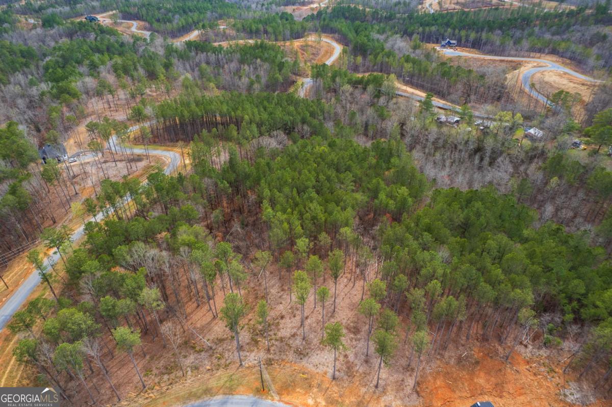 Lot 112 Blalock Mountain Road Talking Rock GA 30175