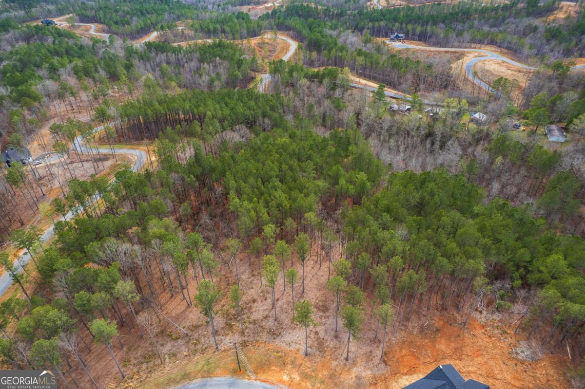 Lot 112 Blalock Mountain Road Talking Rock GA 30175