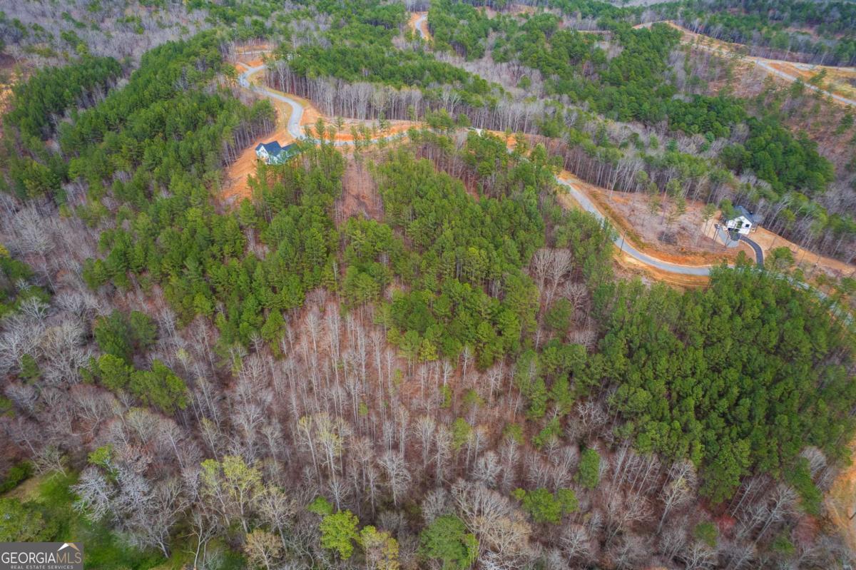 Lot 112 Blalock Mountain Road Talking Rock GA 30175