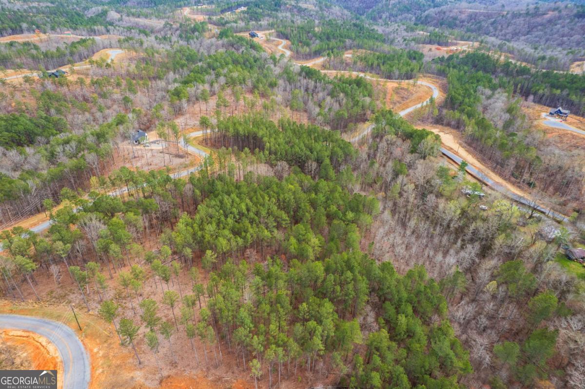 Lot 112 Blalock Mountain Road Talking Rock GA 30175
