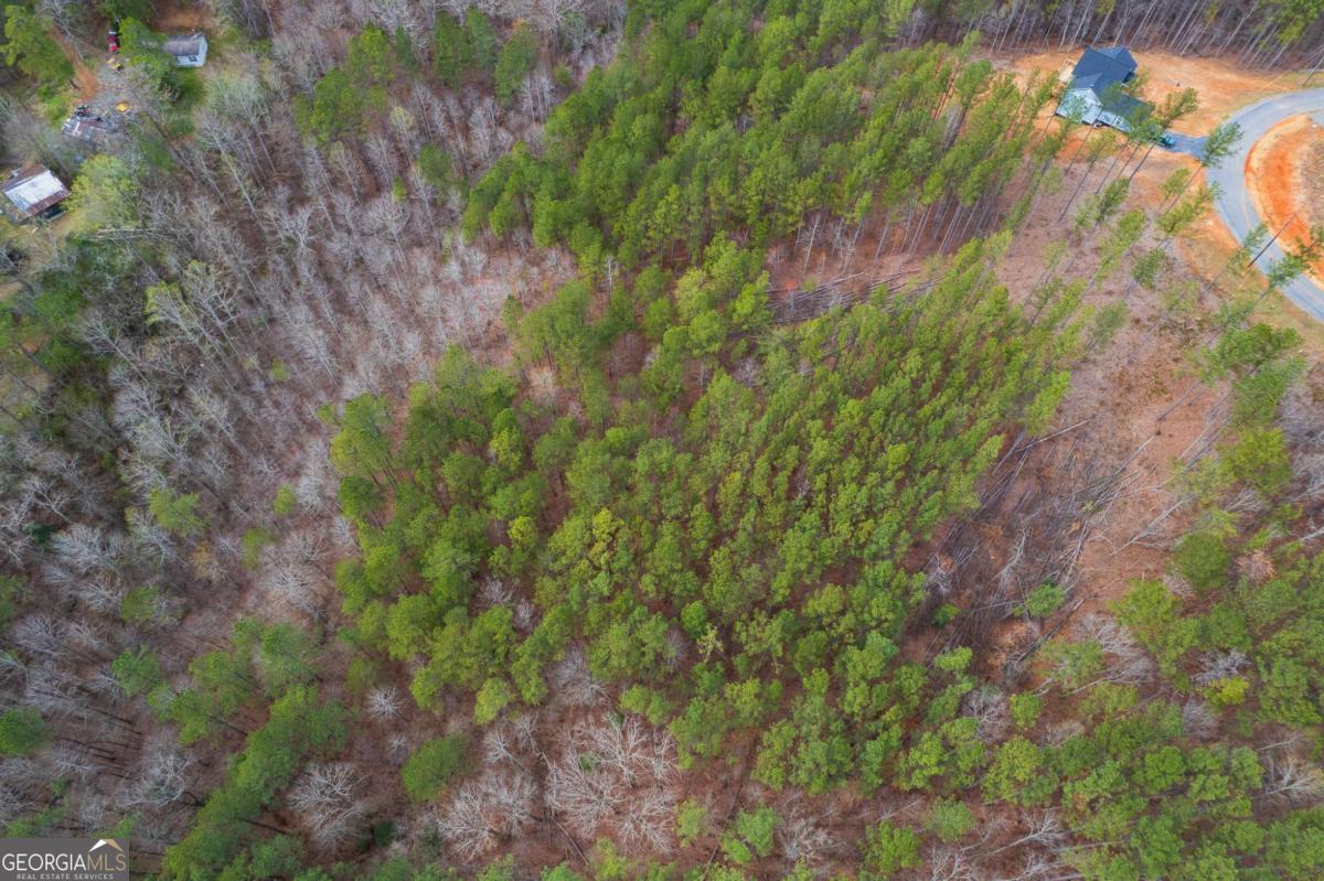 Lot 112 Blalock Mountain Road Talking Rock GA 30175
