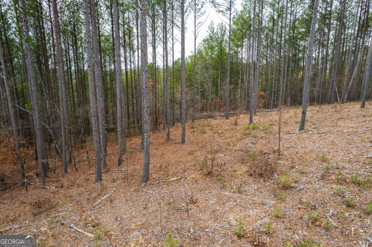 Lot 112 Blalock Mountain Road Talking Rock GA 30175
