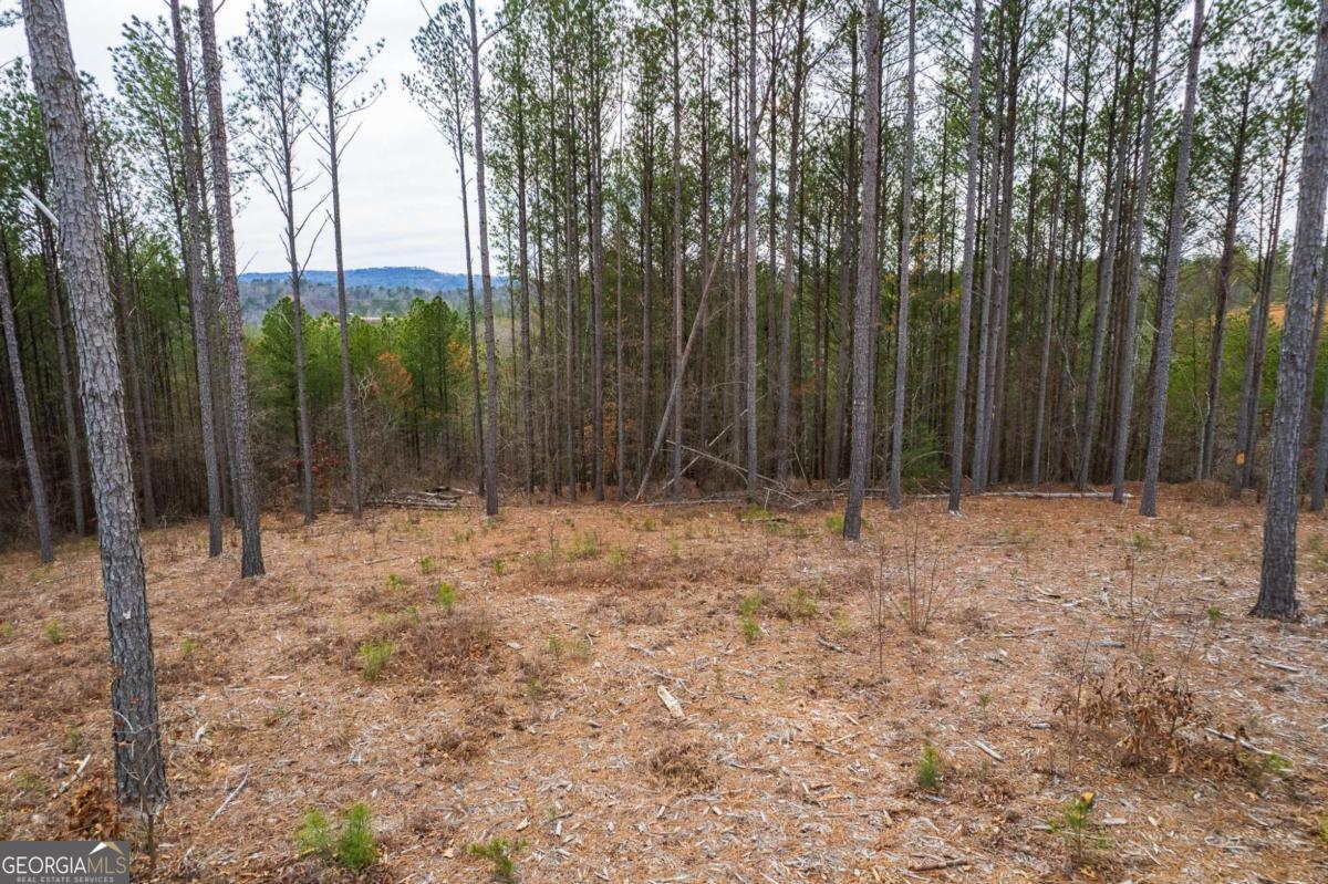 Lot 112 Blalock Mountain Road Talking Rock GA 30175