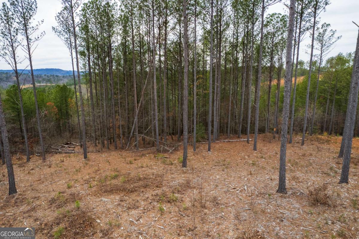 Lot 112 Blalock Mountain Road Talking Rock GA 30175