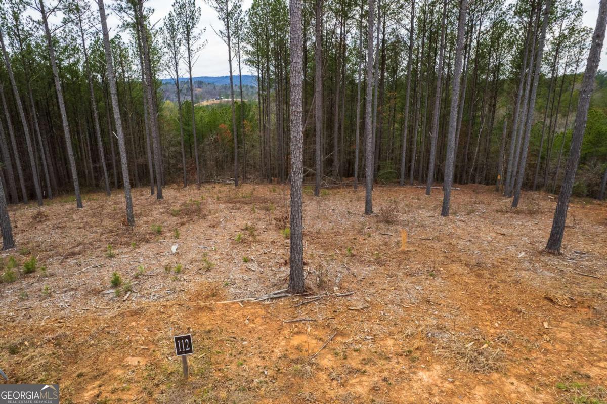 Lot 112 Blalock Mountain Road Talking Rock GA 30175