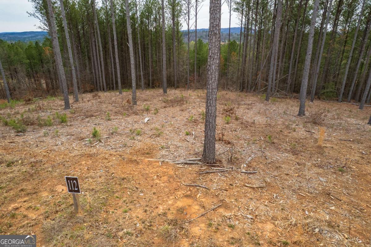 Lot 112 Blalock Mountain Road Talking Rock GA 30175