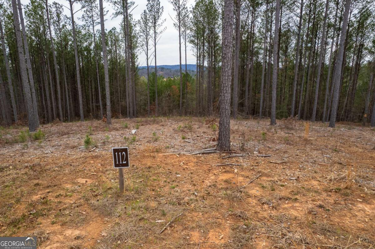 Lot 112 Blalock Mountain Road Talking Rock GA 30175
