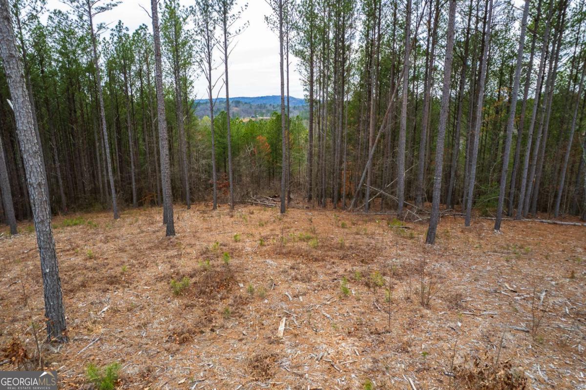 Lot 112 Blalock Mountain Road Talking Rock GA 30175