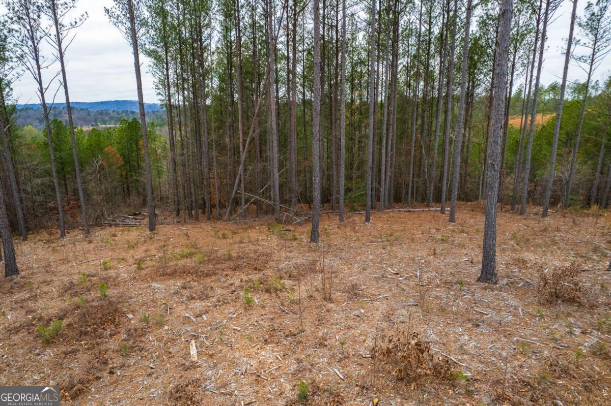 Lot 112 Blalock Mountain Road Talking Rock GA 30175