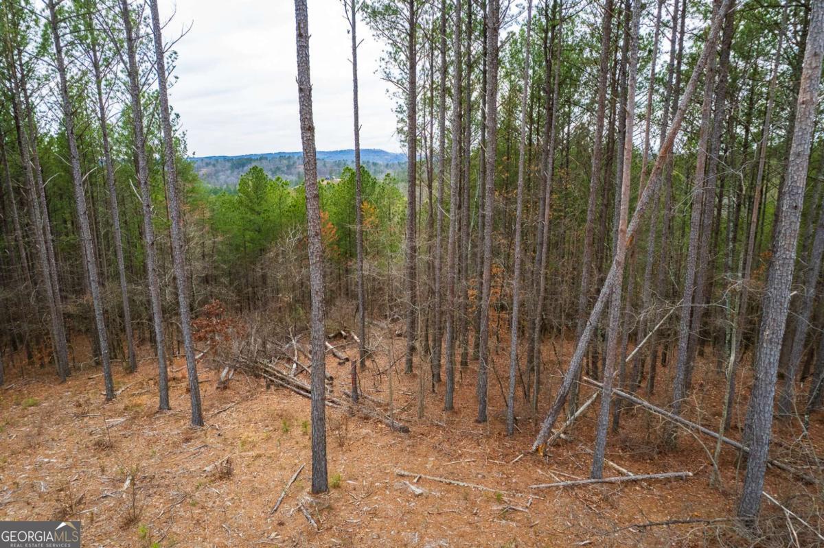 Lot 112 Blalock Mountain Road Talking Rock GA 30175