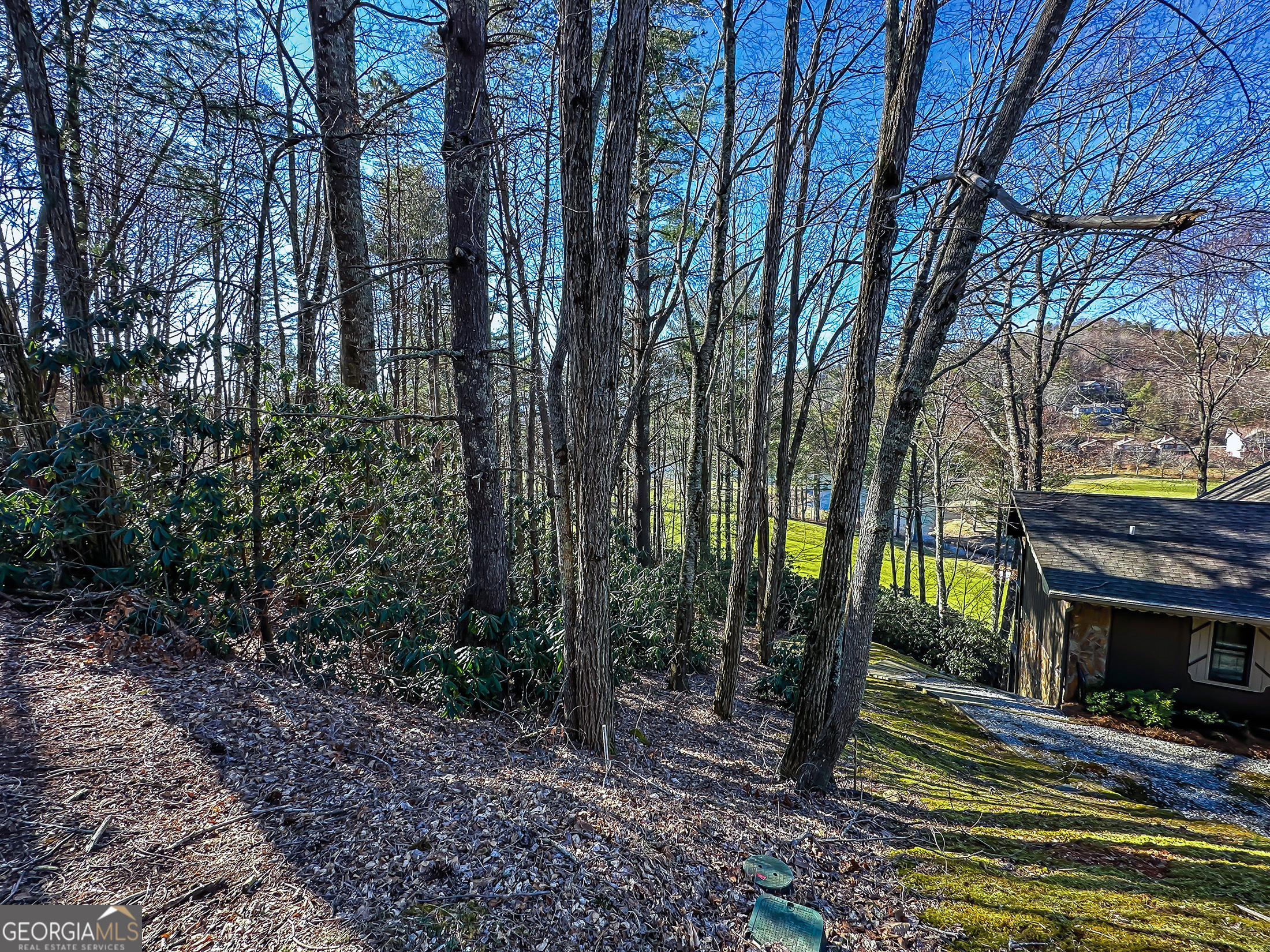Lot 1 Ridgepole Drive Sky Valley GA 30537