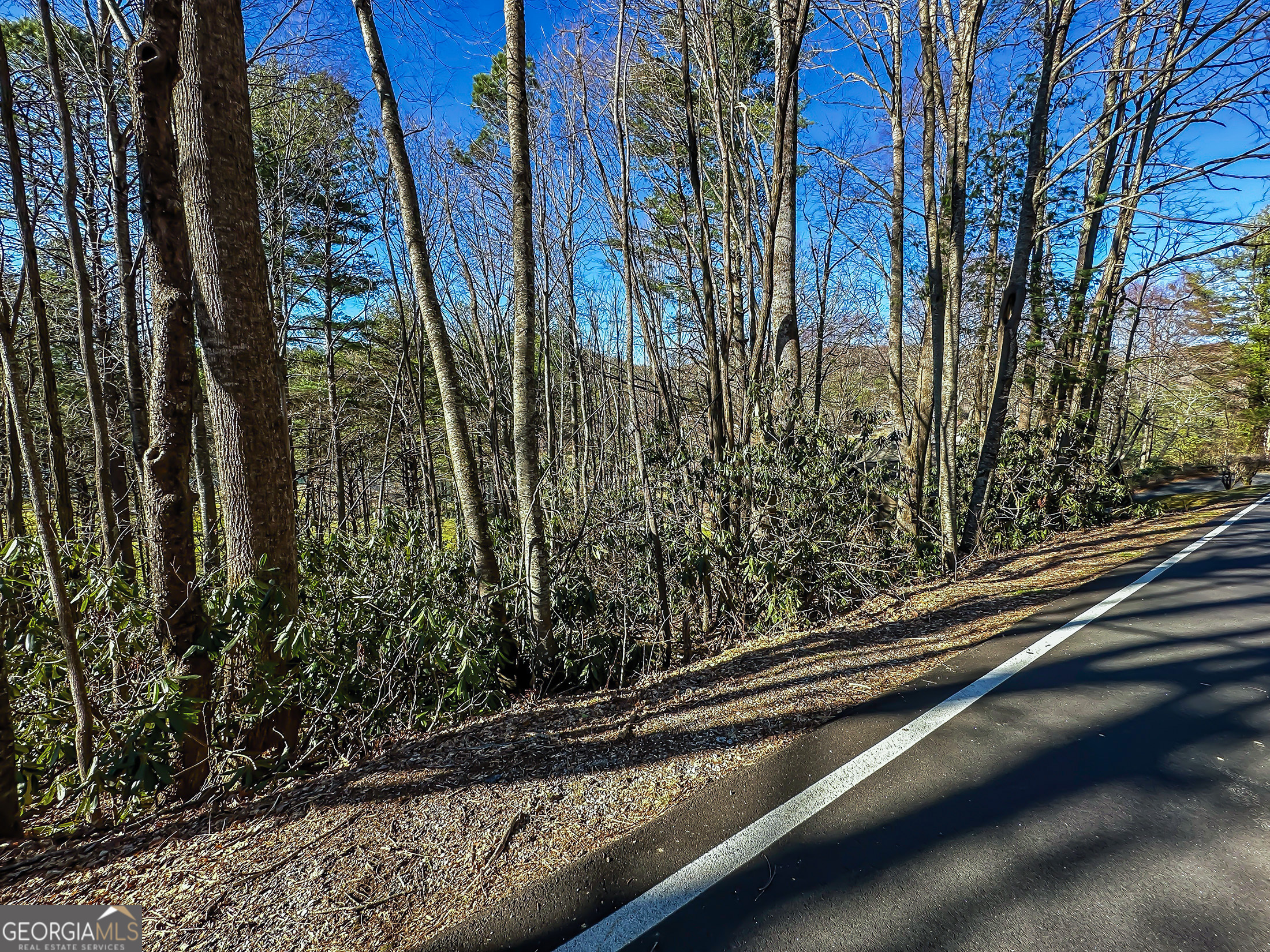 Lot 1 Ridgepole Drive Sky Valley GA 30537