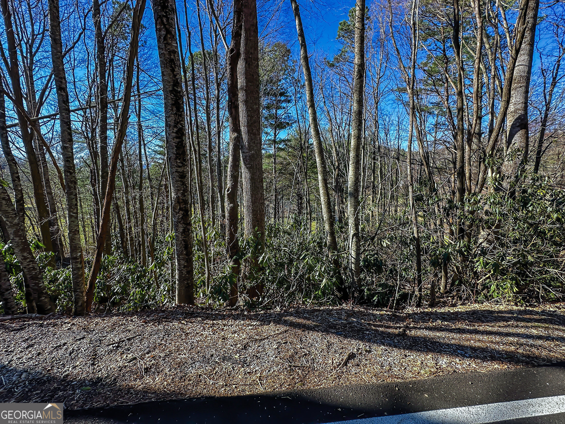 Lot 1 Ridgepole Drive Sky Valley GA 30537