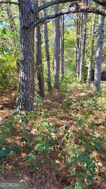 0 Barge Road SW Atlanta GA 30331