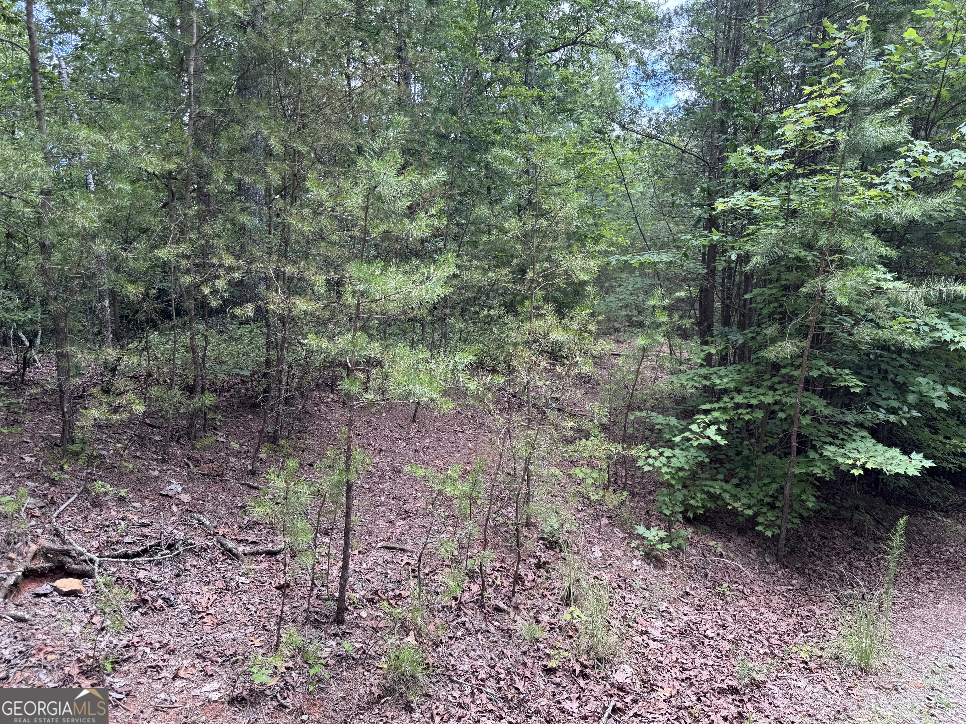 0 Owltown Road Ellijay GA 30536
