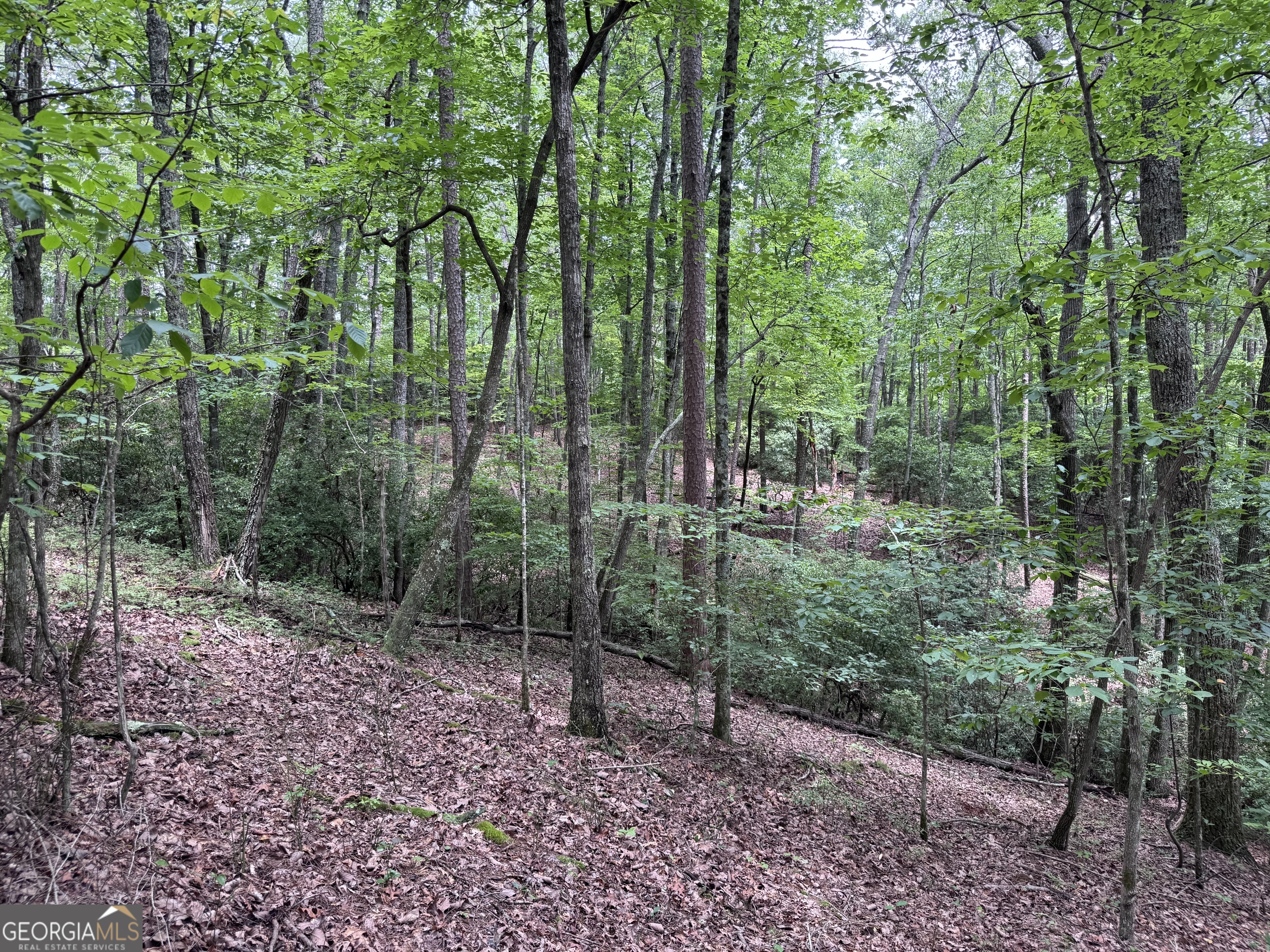 0 Owltown Road Ellijay GA 30536