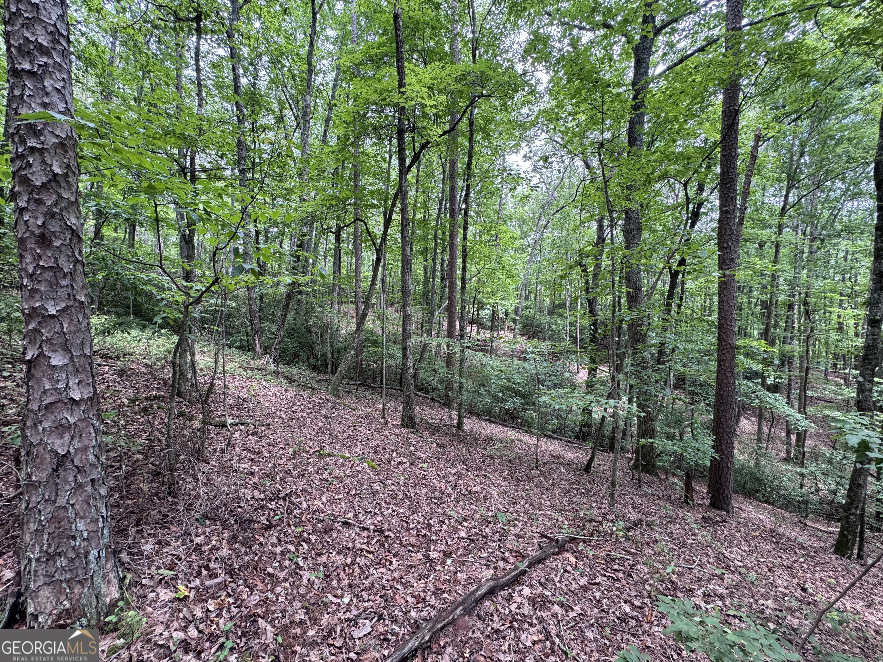 0 Owltown Road Ellijay GA 30536