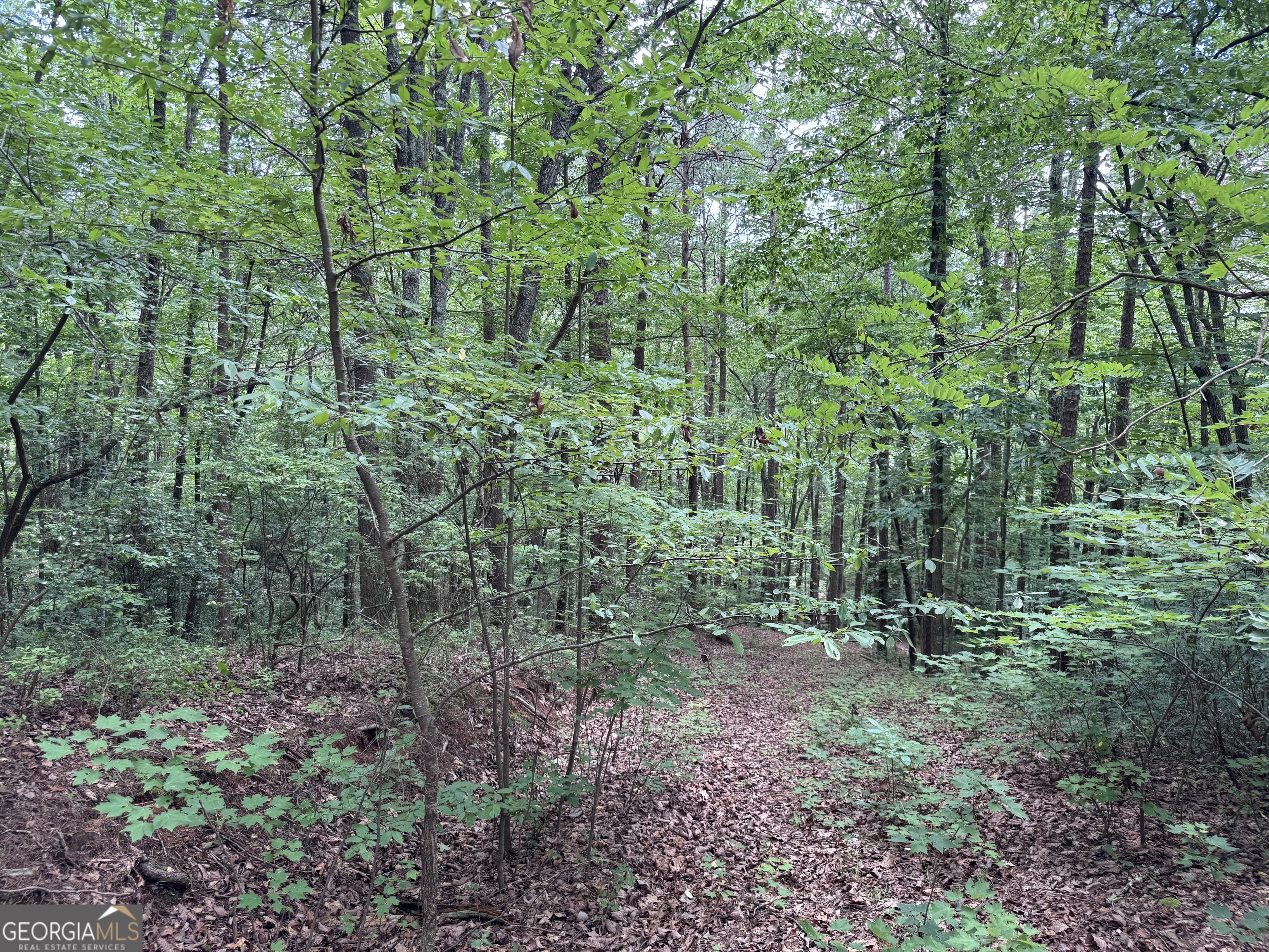 0 Owltown Road Ellijay GA 30536