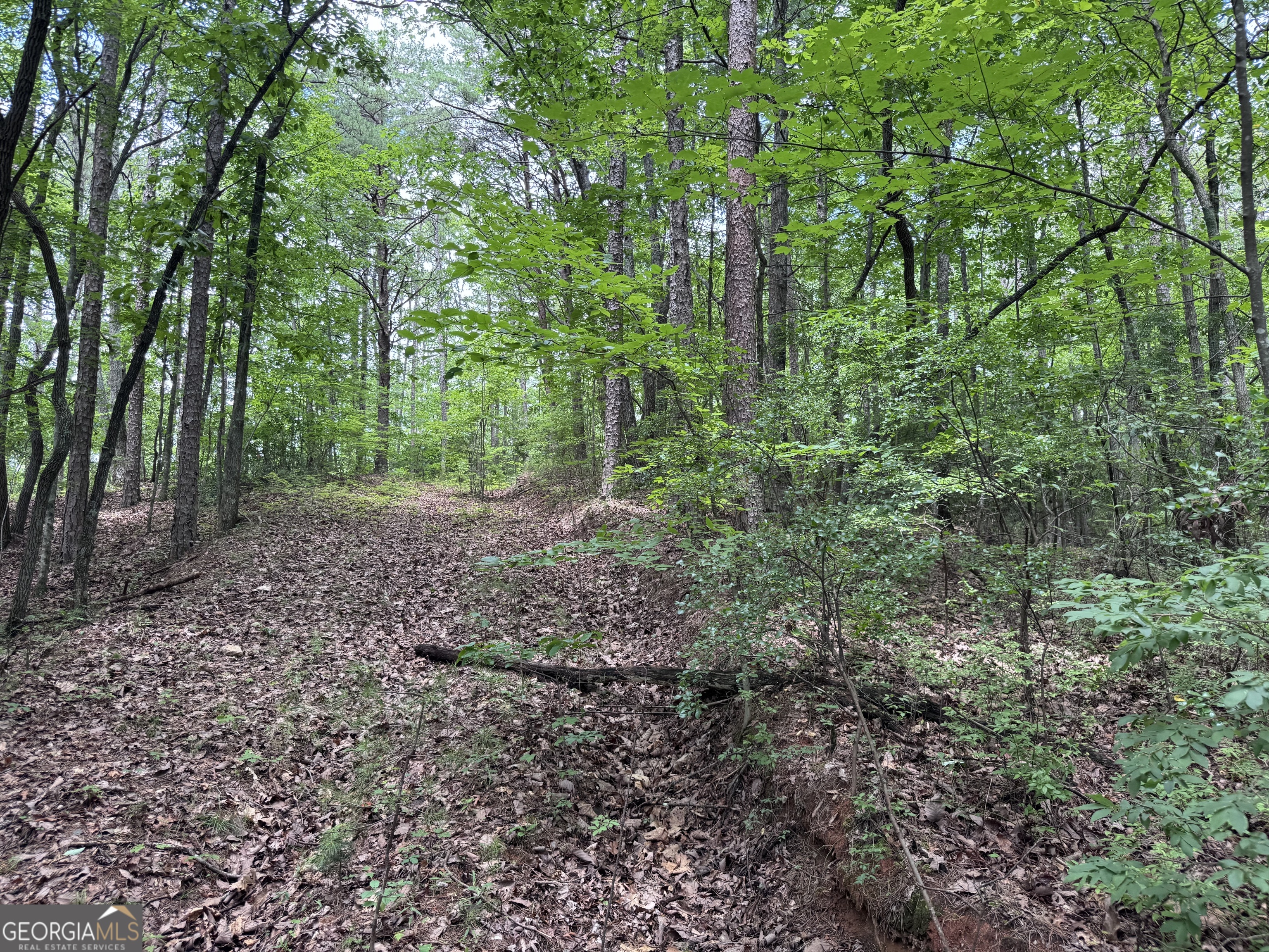 0 Owltown Road Ellijay GA 30536