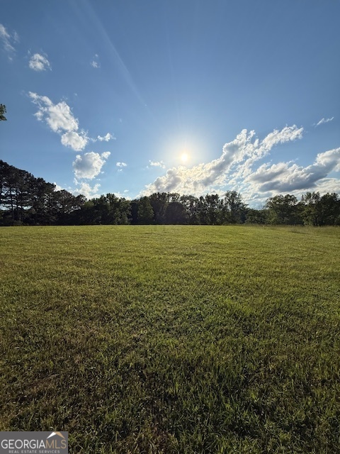 Lot 2 South Of Redwine Road Fayetteville GA 30215