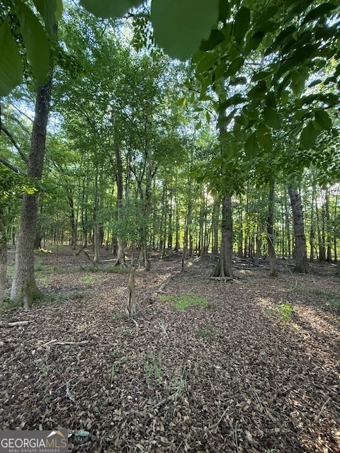 Lot 2 South Of Redwine Road Fayetteville GA 30215