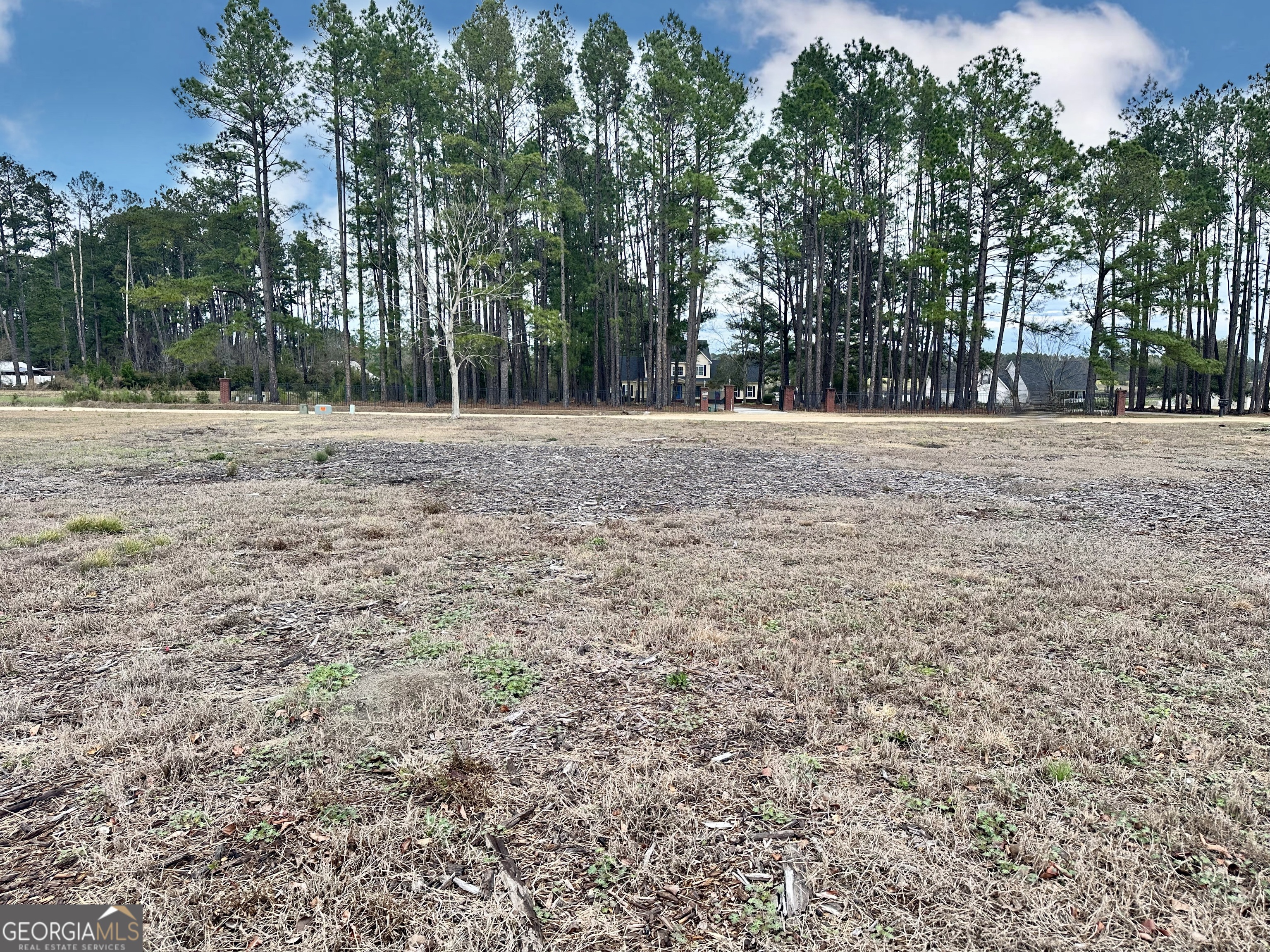 0 Southside Drive Blackshear GA 31516