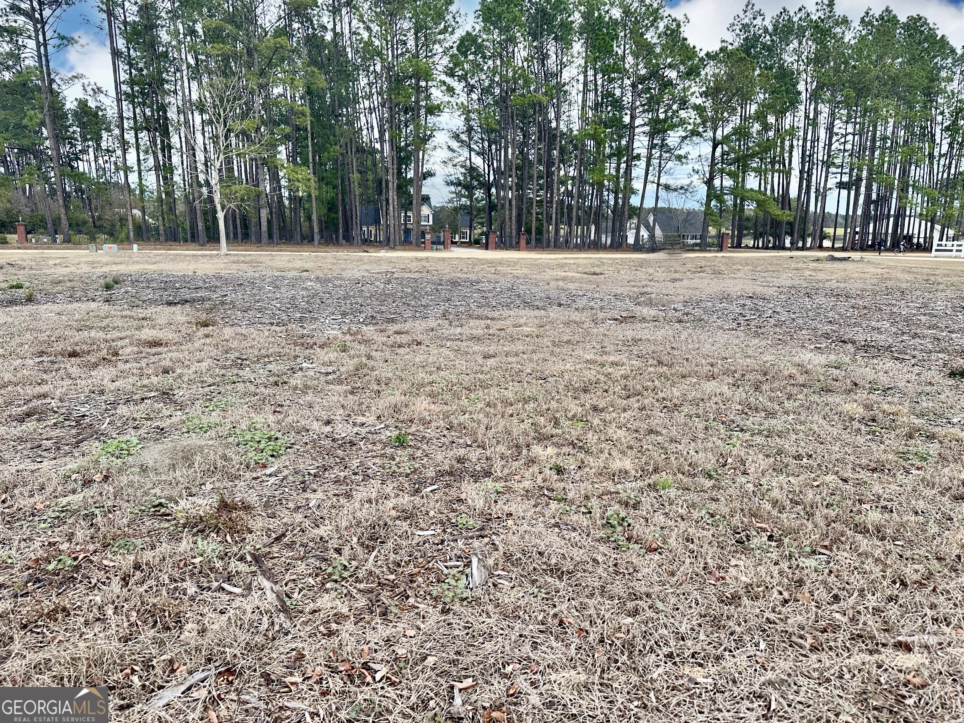0 Southside Drive Blackshear GA 31516