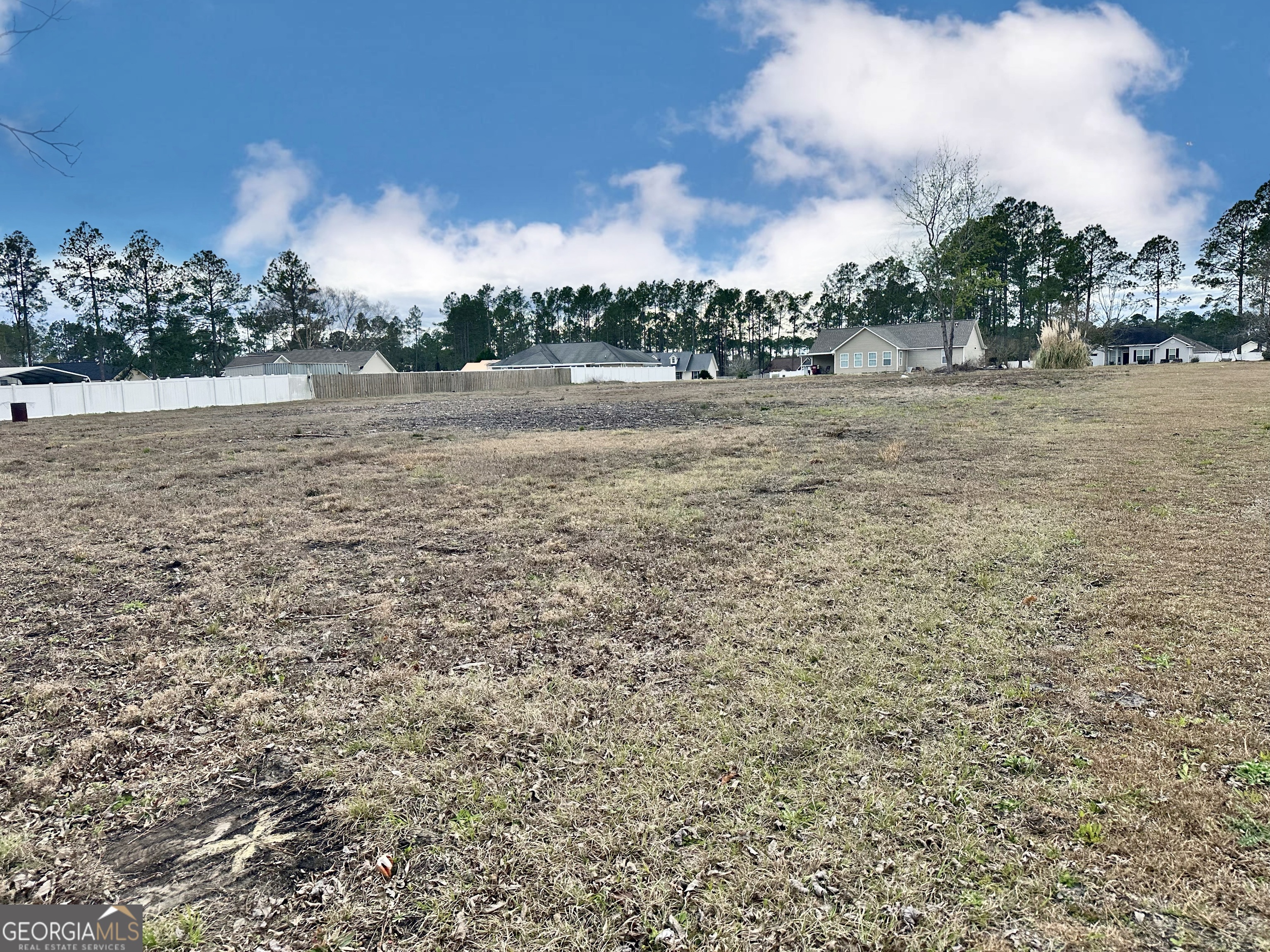 0 Southside Drive Blackshear GA 31516