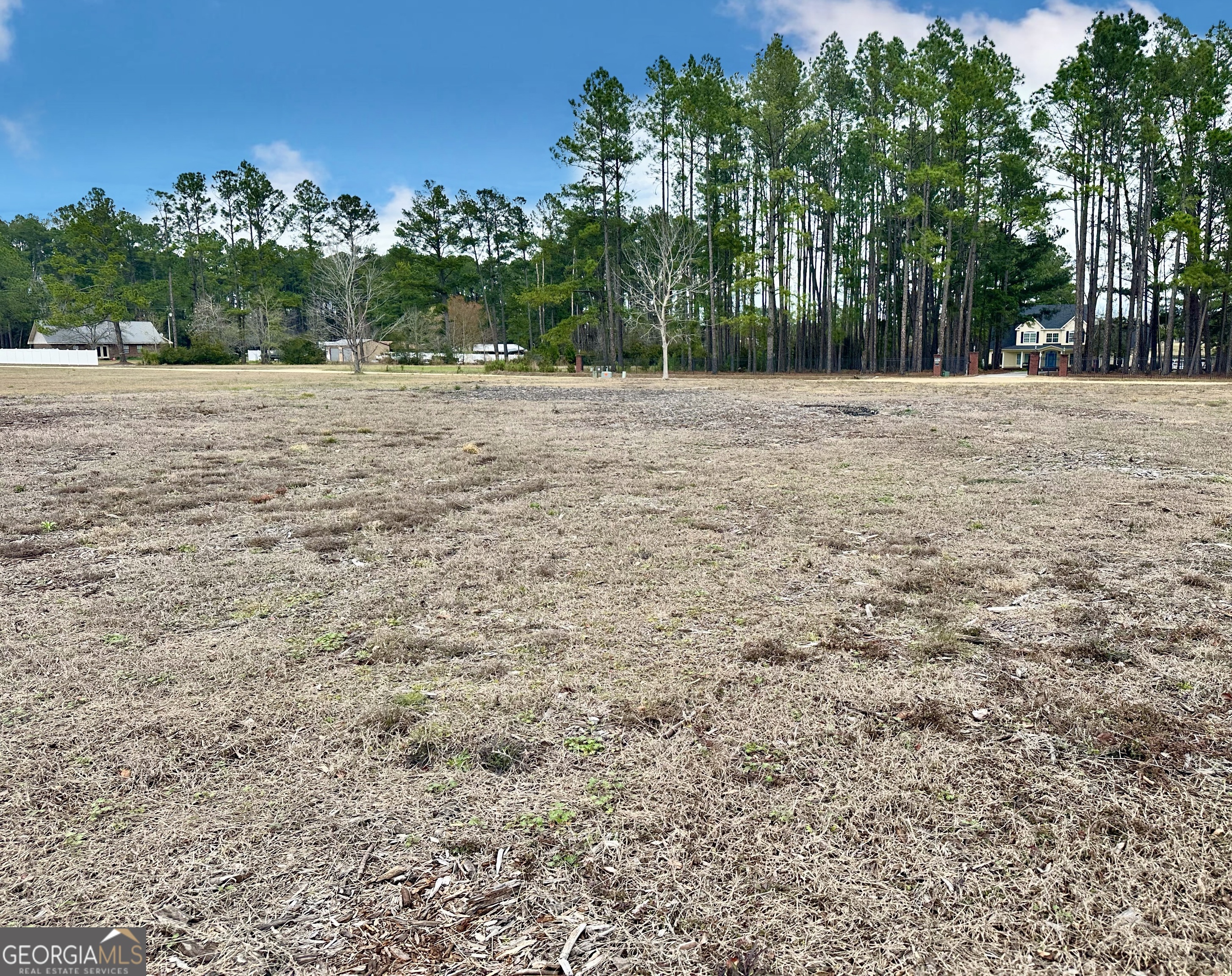 0 Southside Drive Blackshear GA 31516