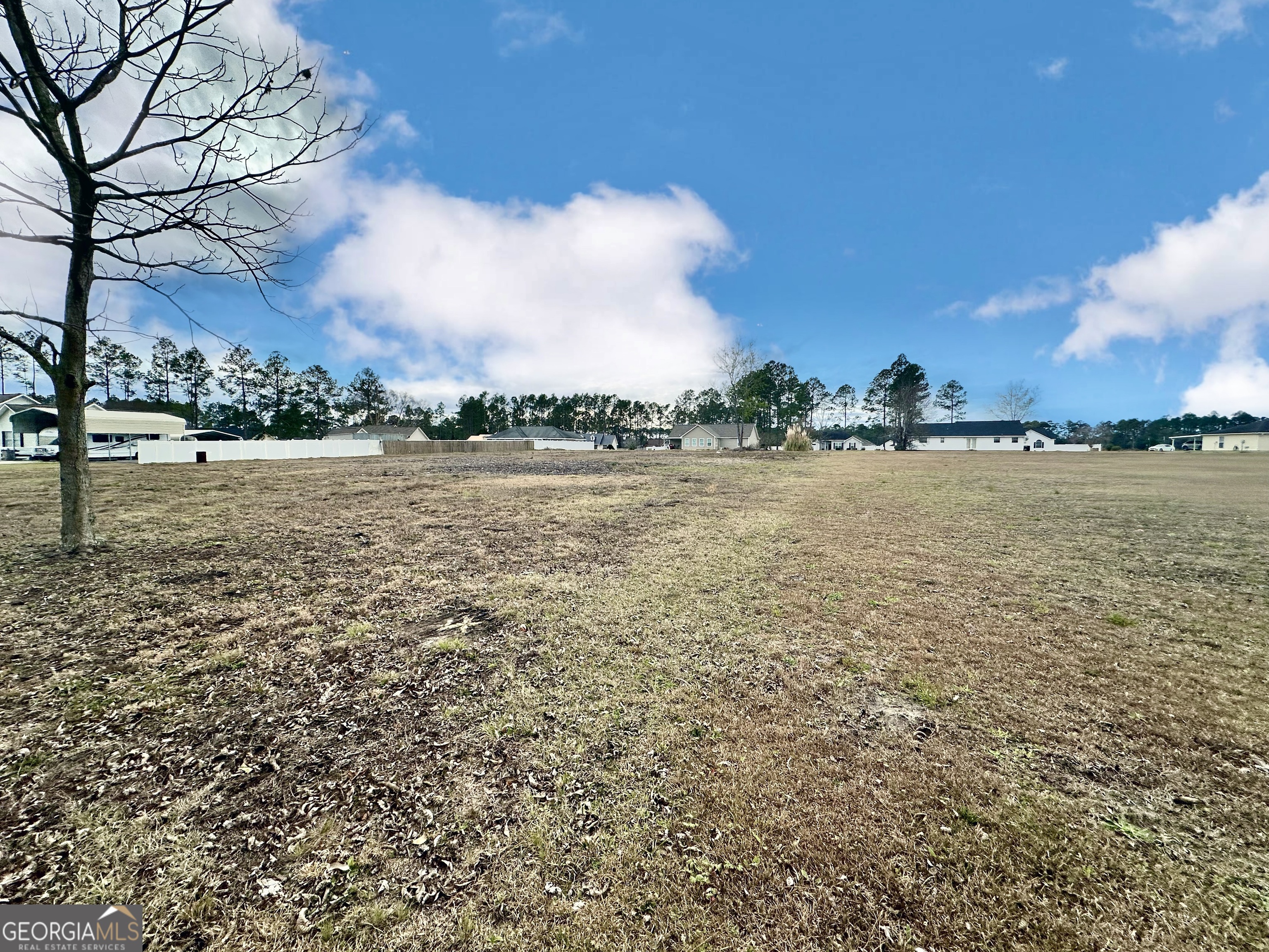 0 Southside Drive Blackshear GA 31516