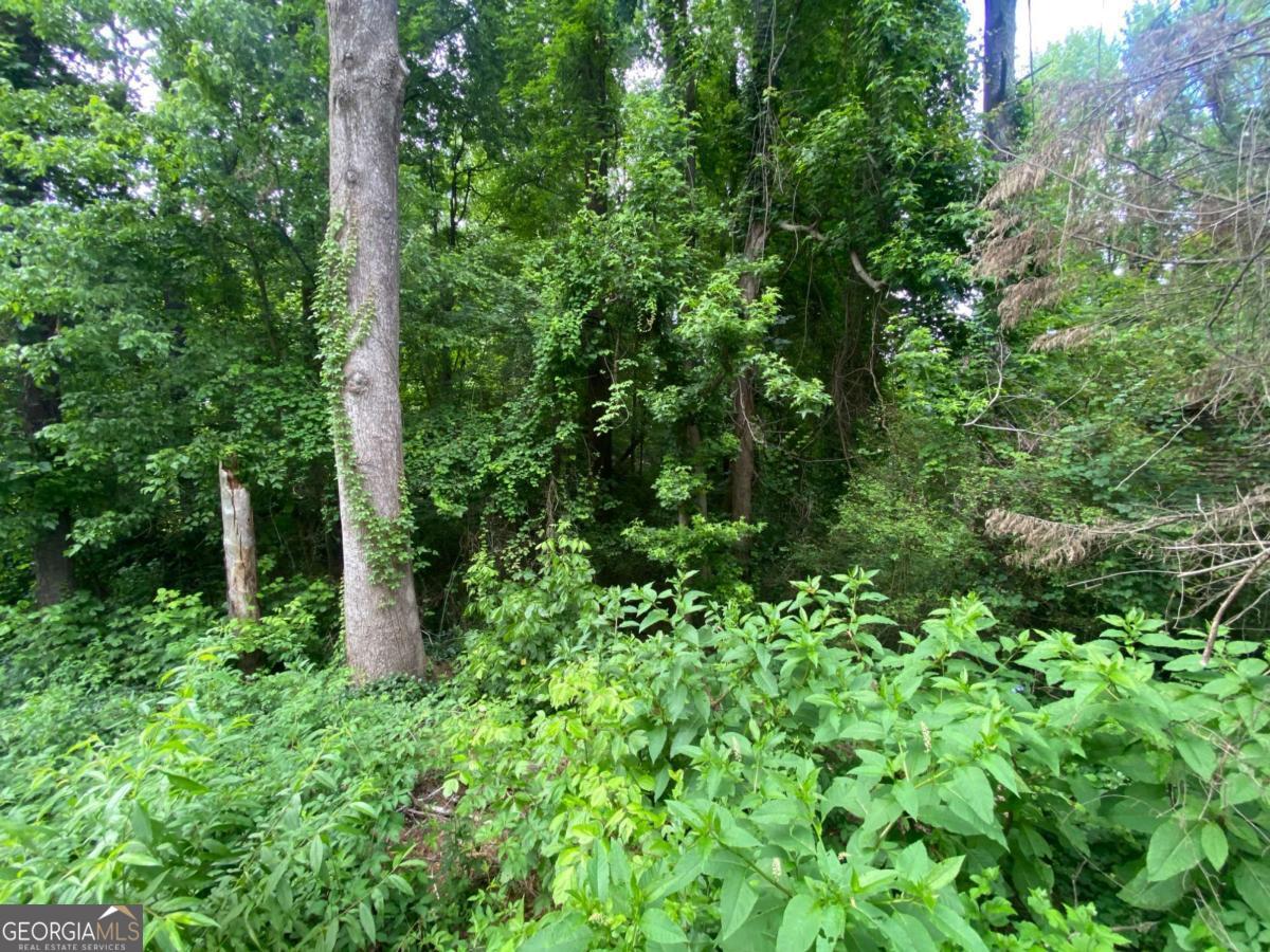 0 Nickajack Road SE Mableton GA 30126