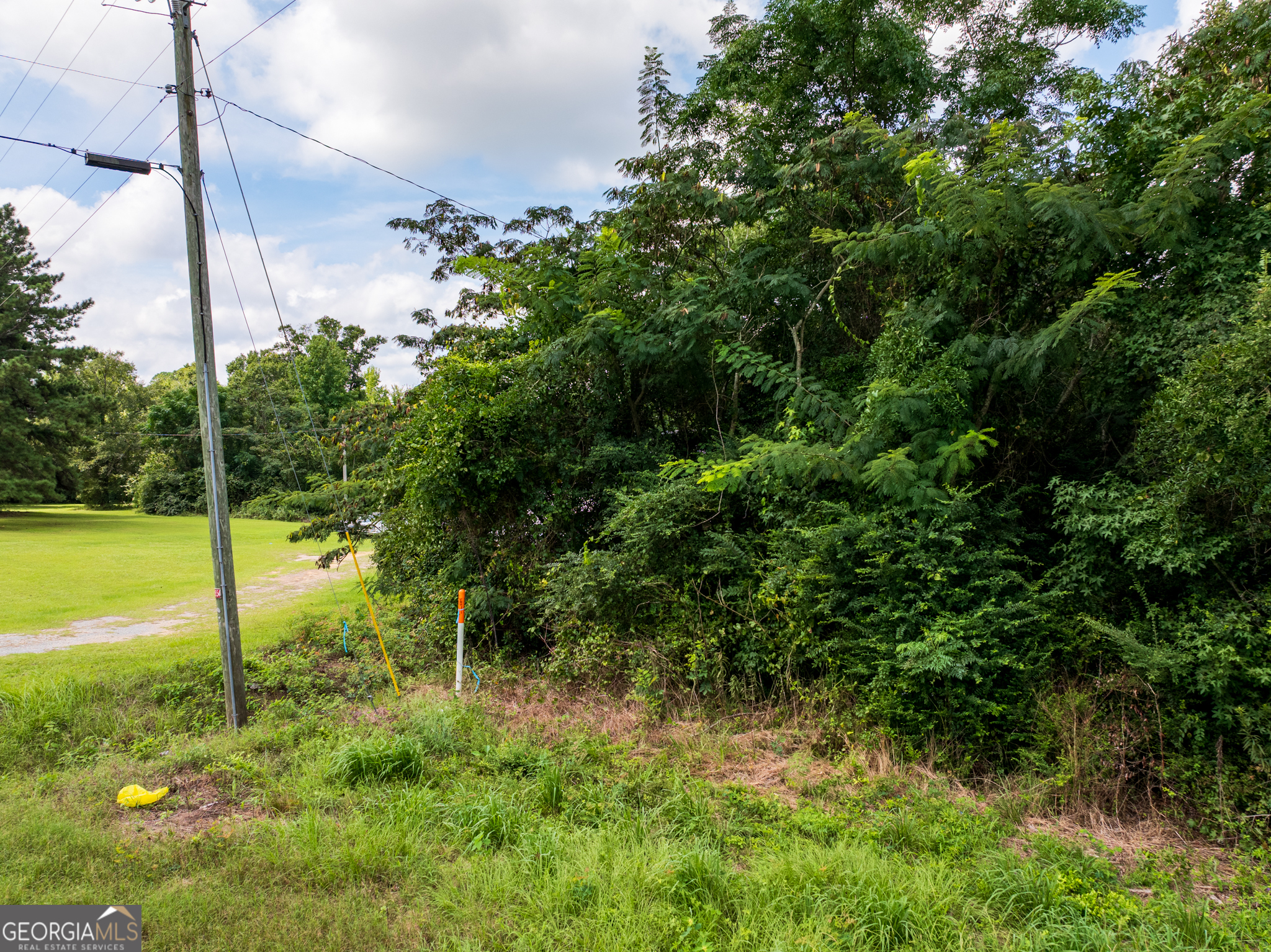 2.8 +/- Acres Pineway Highway Pineview GA 31071