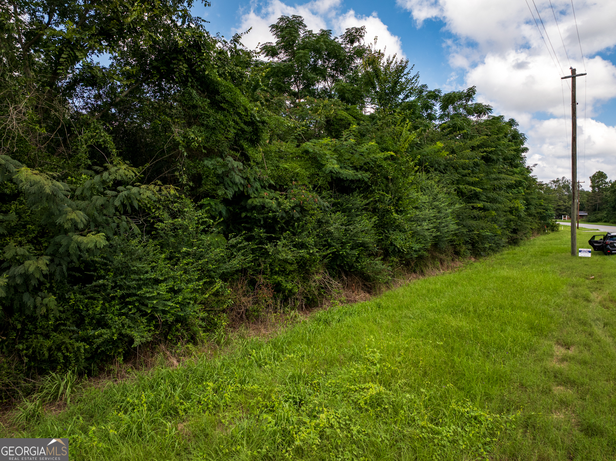 2.8 +/- Acres Pineway Highway Pineview GA 31071