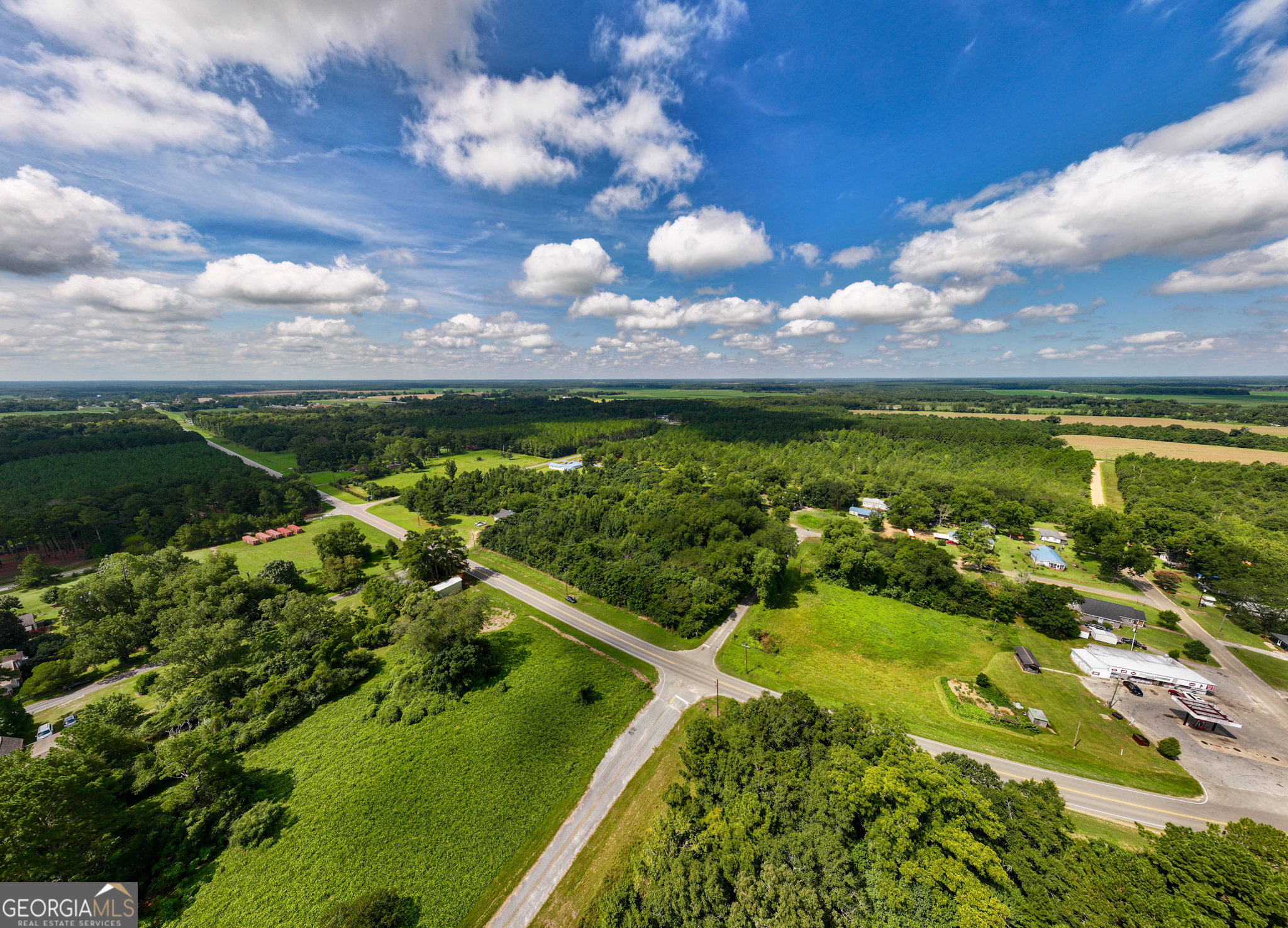 2.8 +/- Acres Pineway Highway Pineview GA 31071