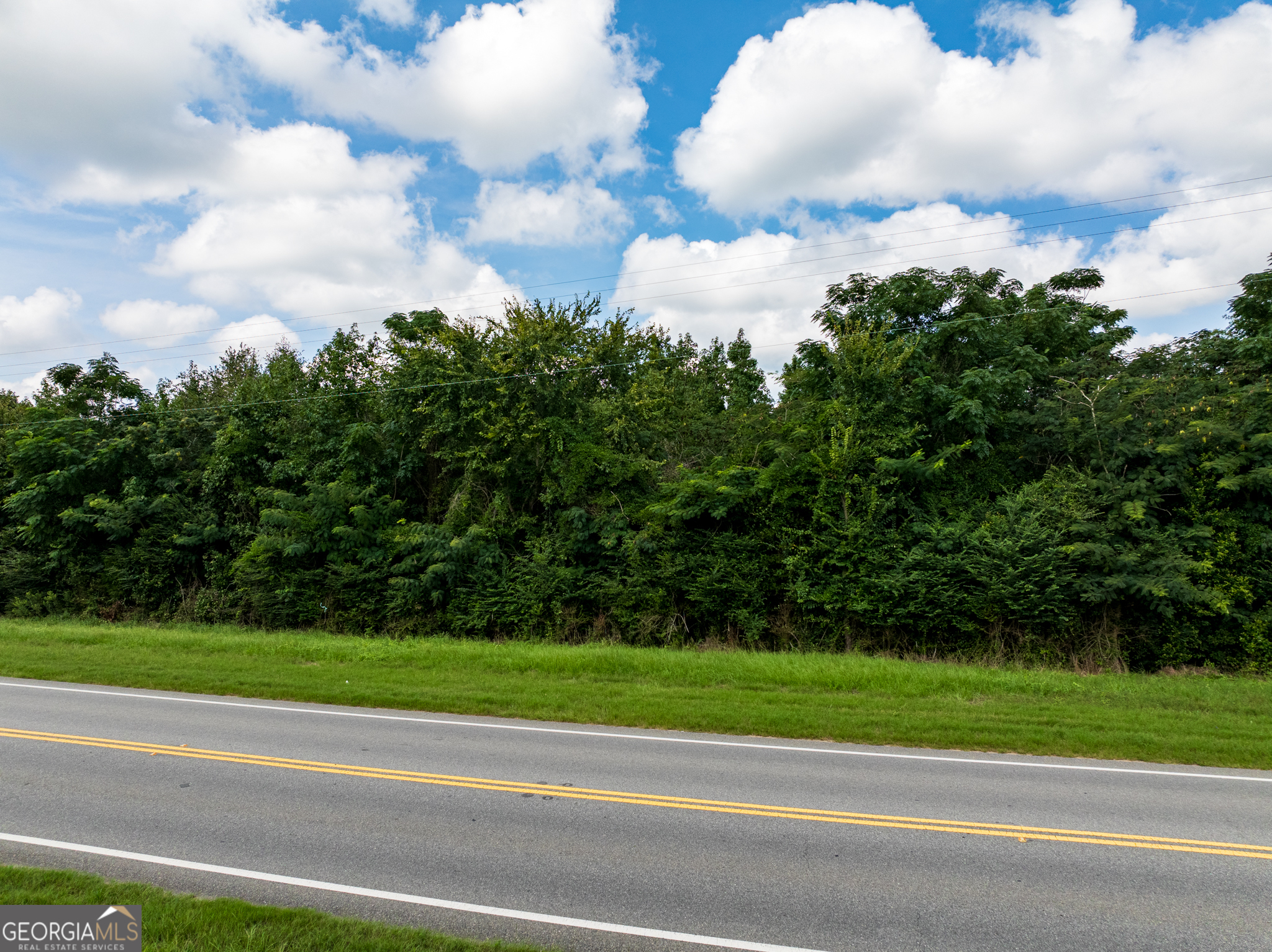 2.8 +/- Acres Pineway Highway Pineview GA 31071