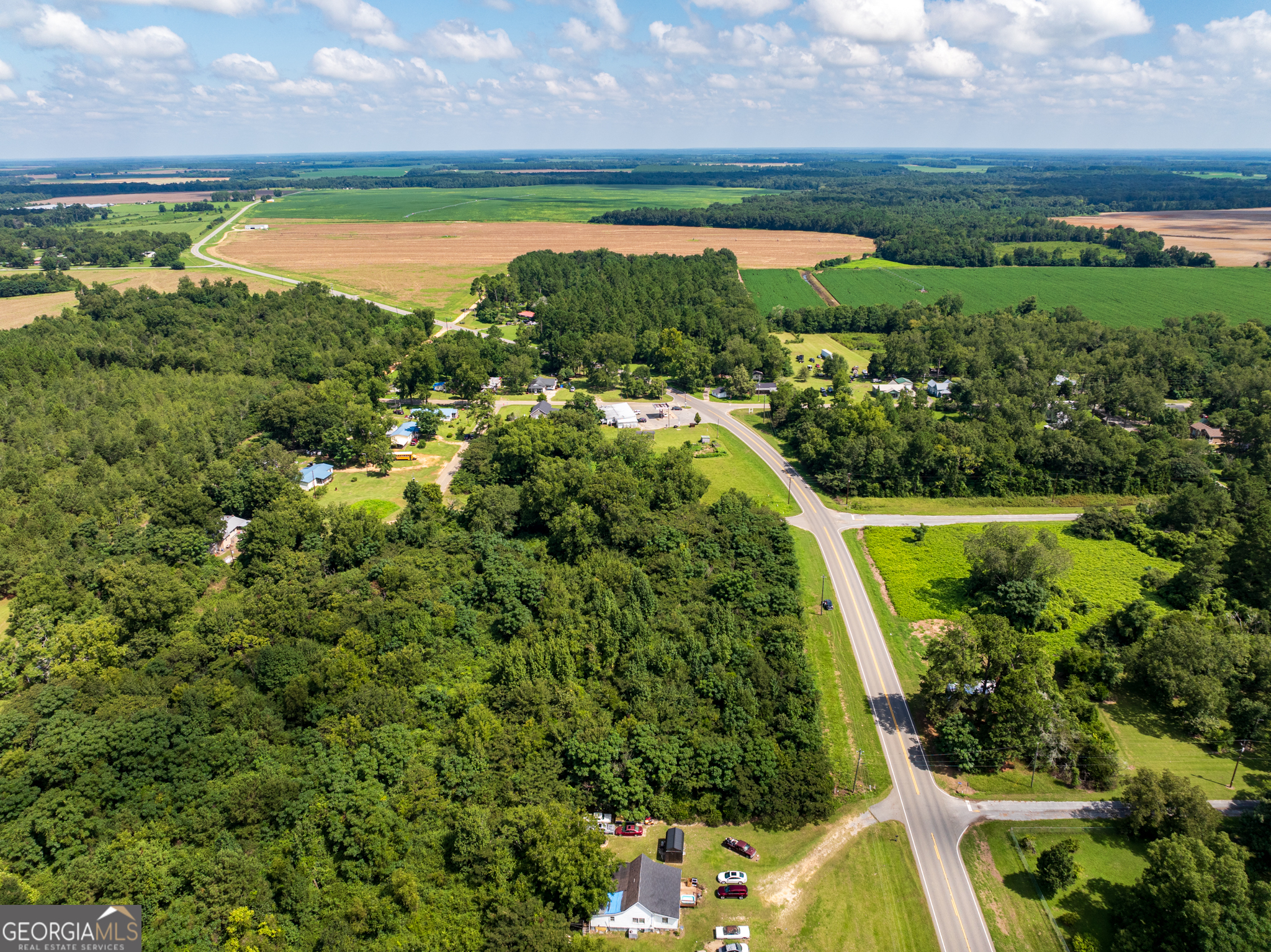 2.8 +/- Acres Pineway Highway Pineview GA 31071