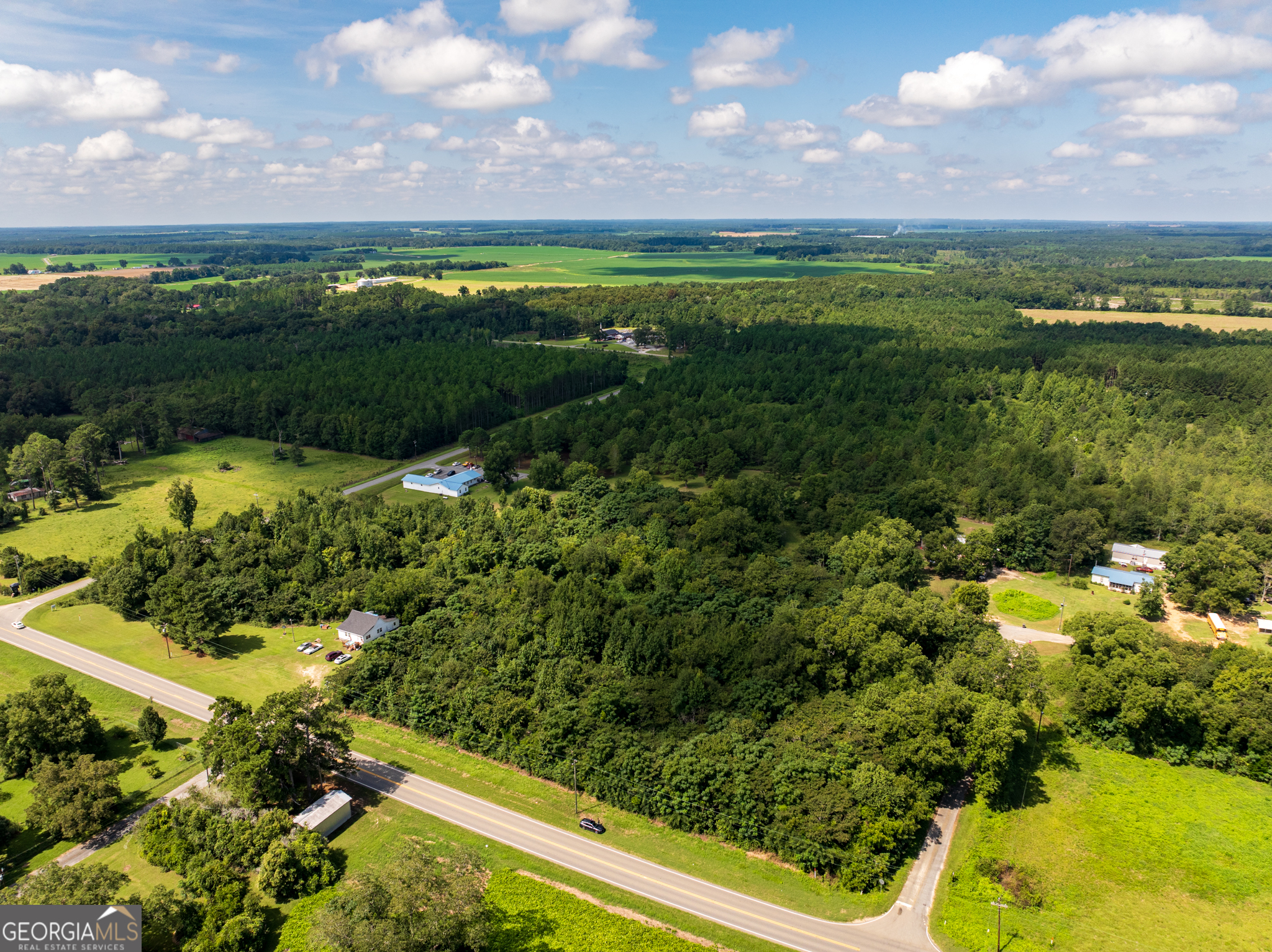 2.8 +/- Acres Pineway Highway Pineview GA 31071