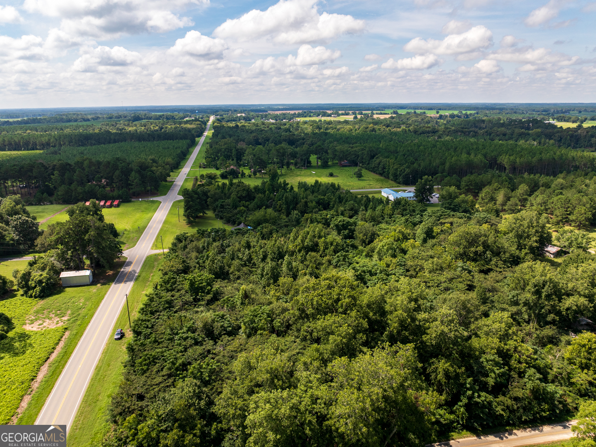 2.8 +/- Acres Pineway Highway Pineview GA 31071