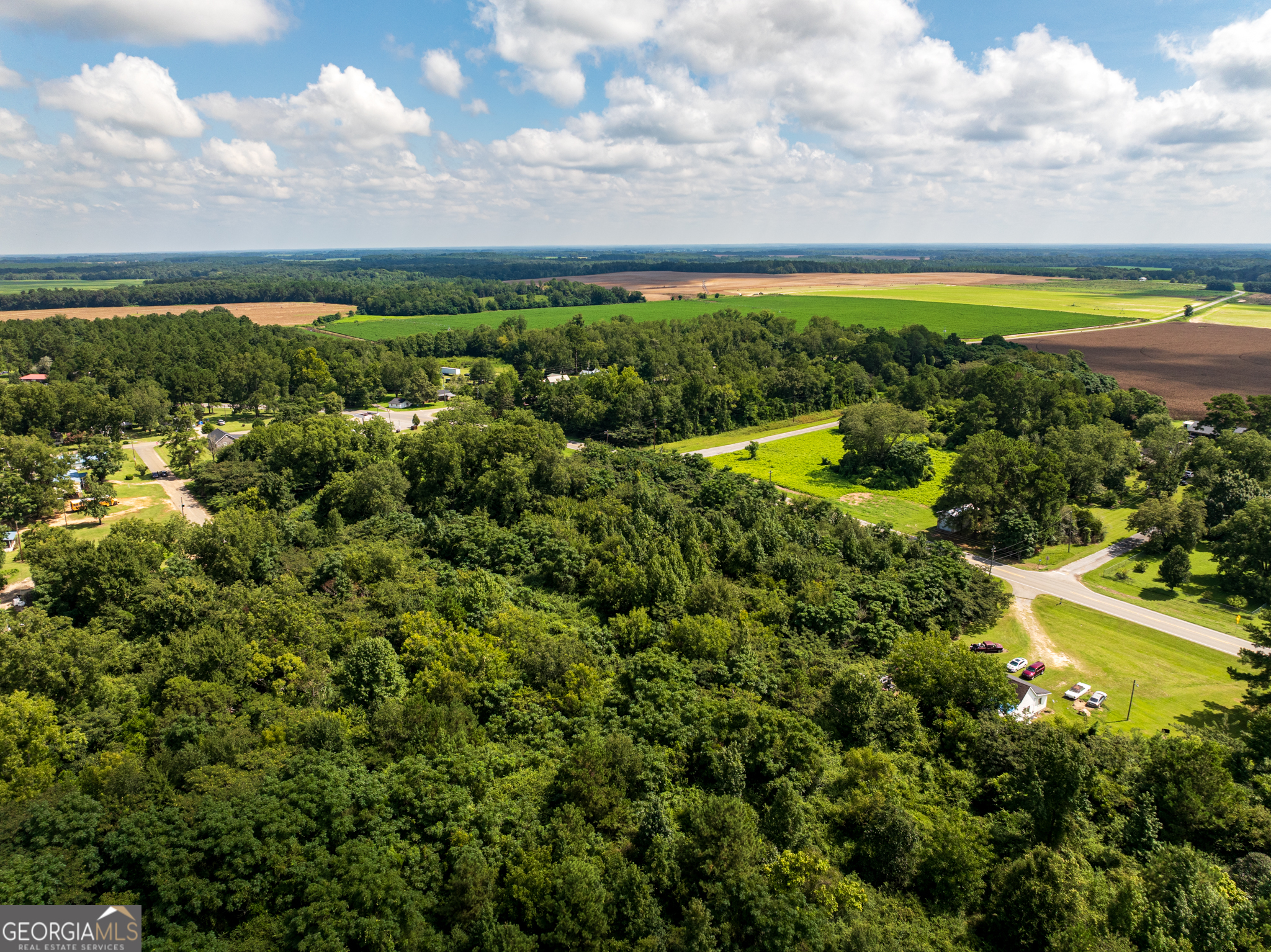 2.8 +/- Acres Pineway Highway Pineview GA 31071