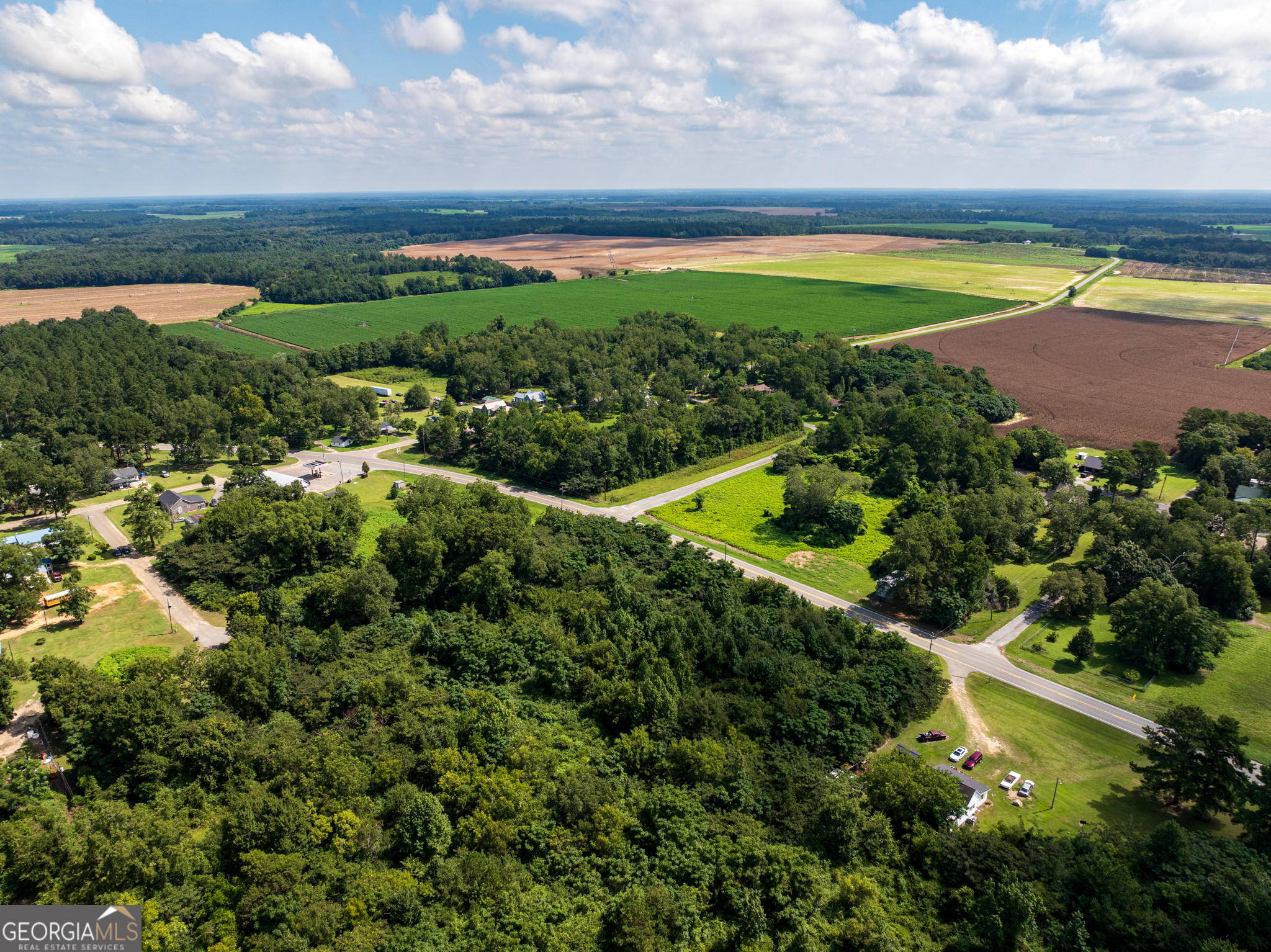 2.8 +/- Acres Pineway Highway Pineview GA 31071